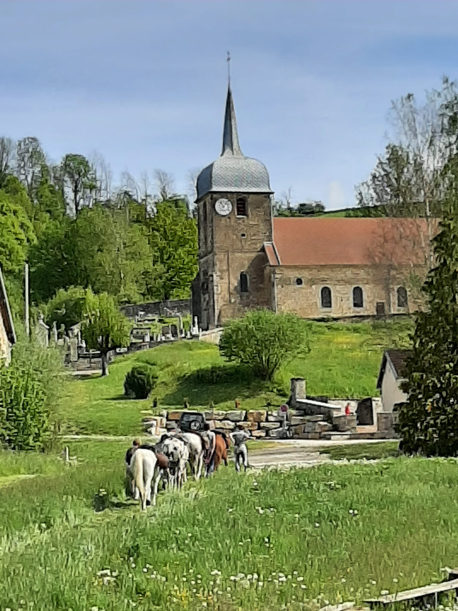 - image: 21
