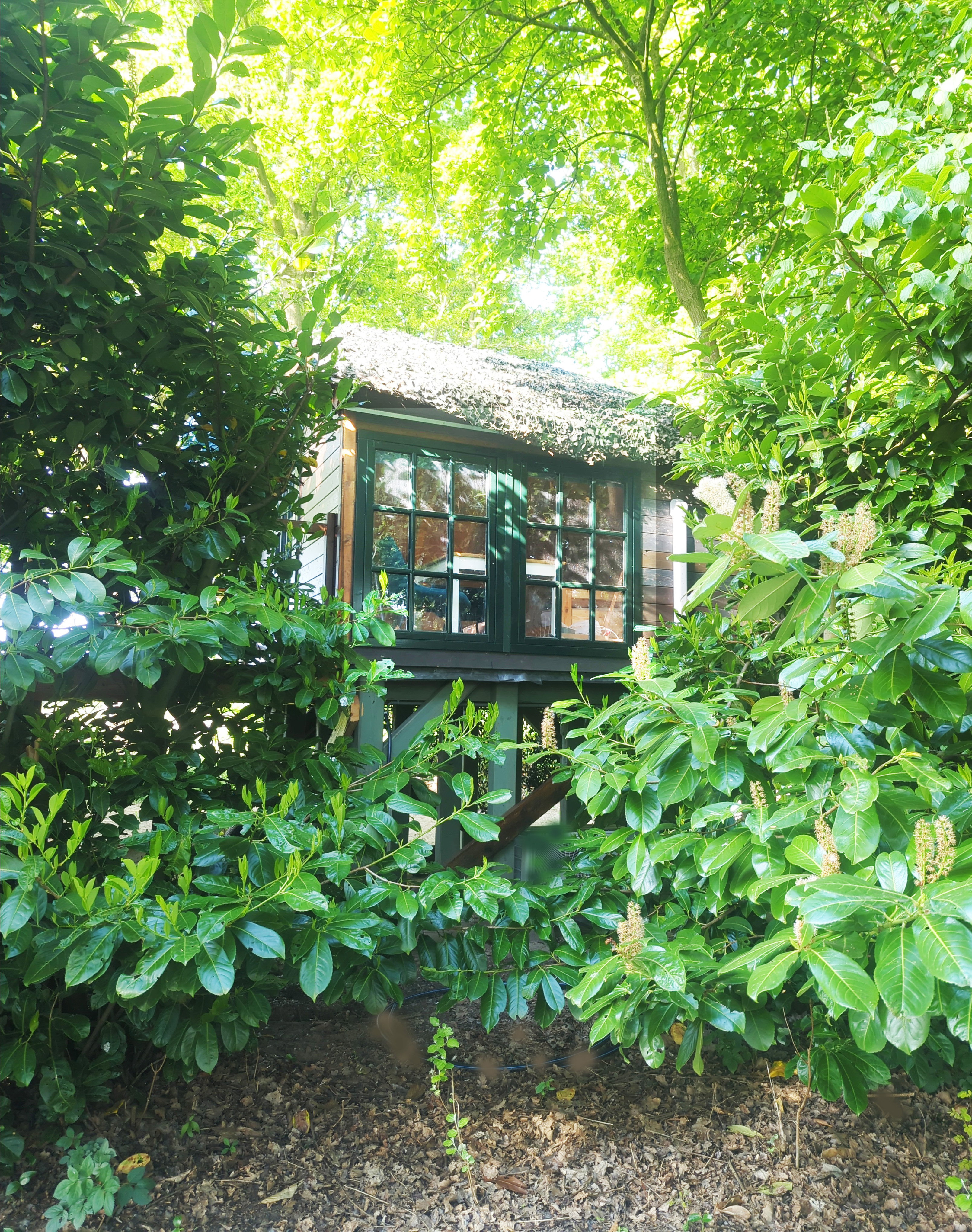 Casa nella natura a Sellingen