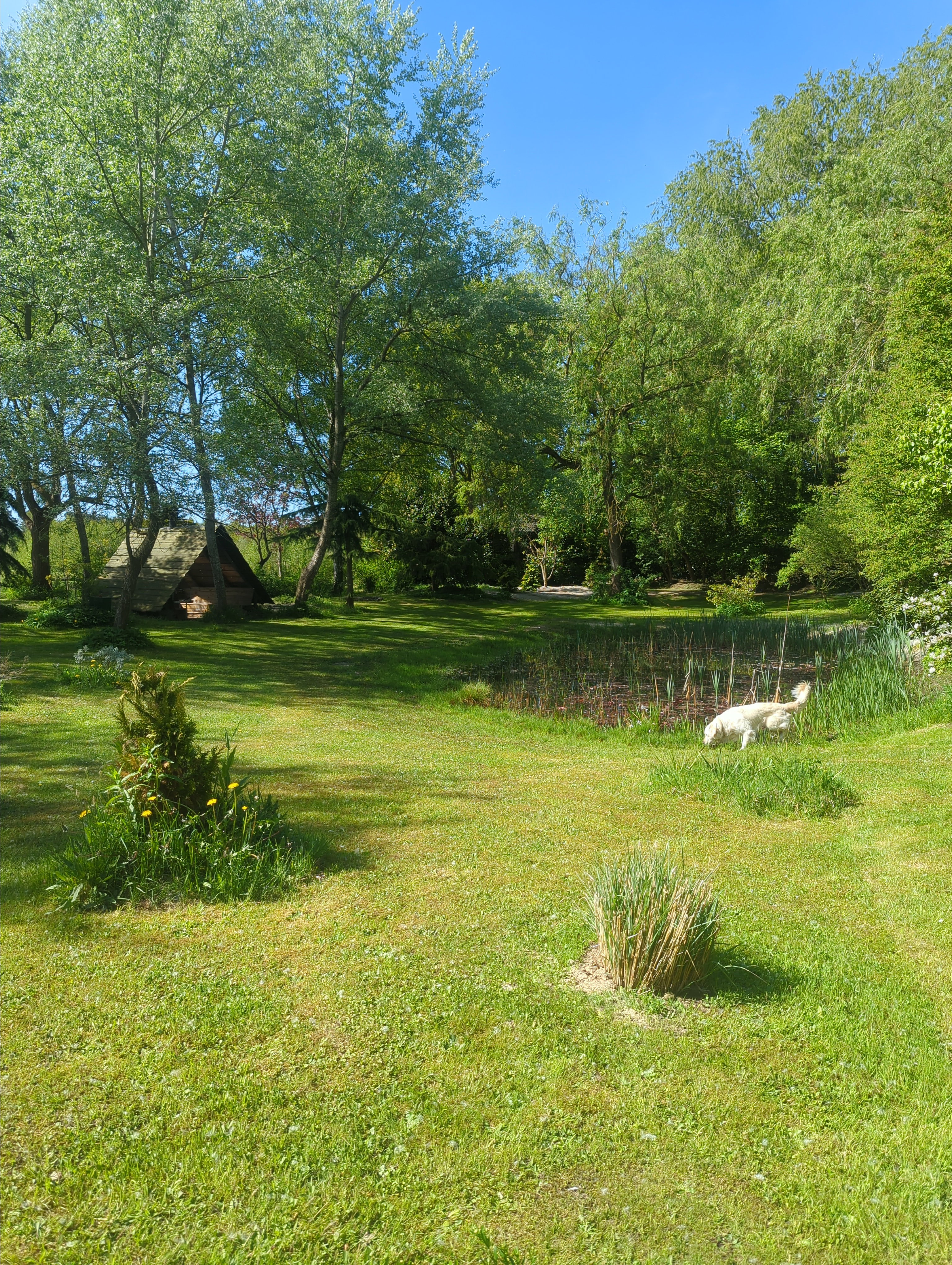 Casa nella natura a Sellingen
