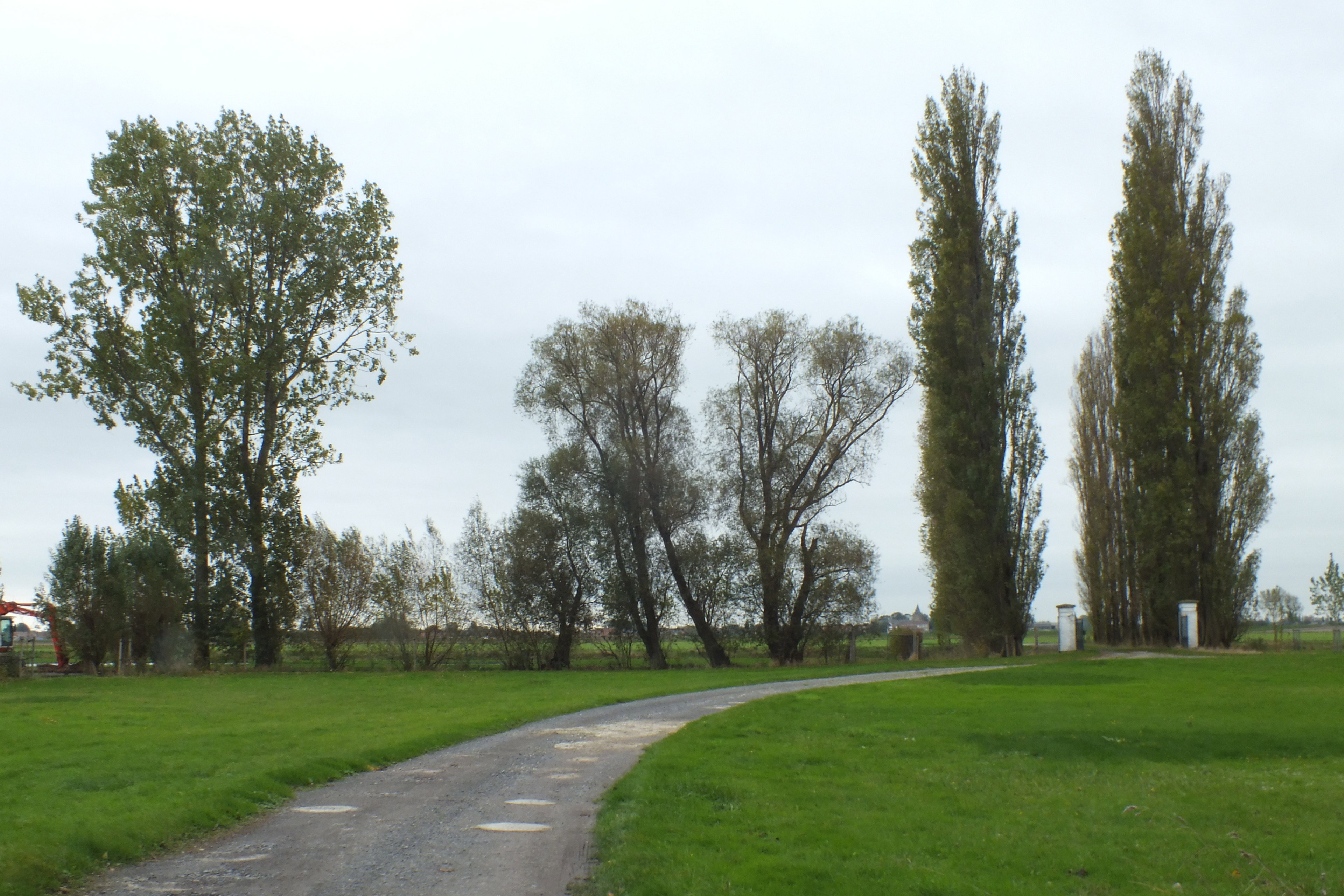 - image: 16