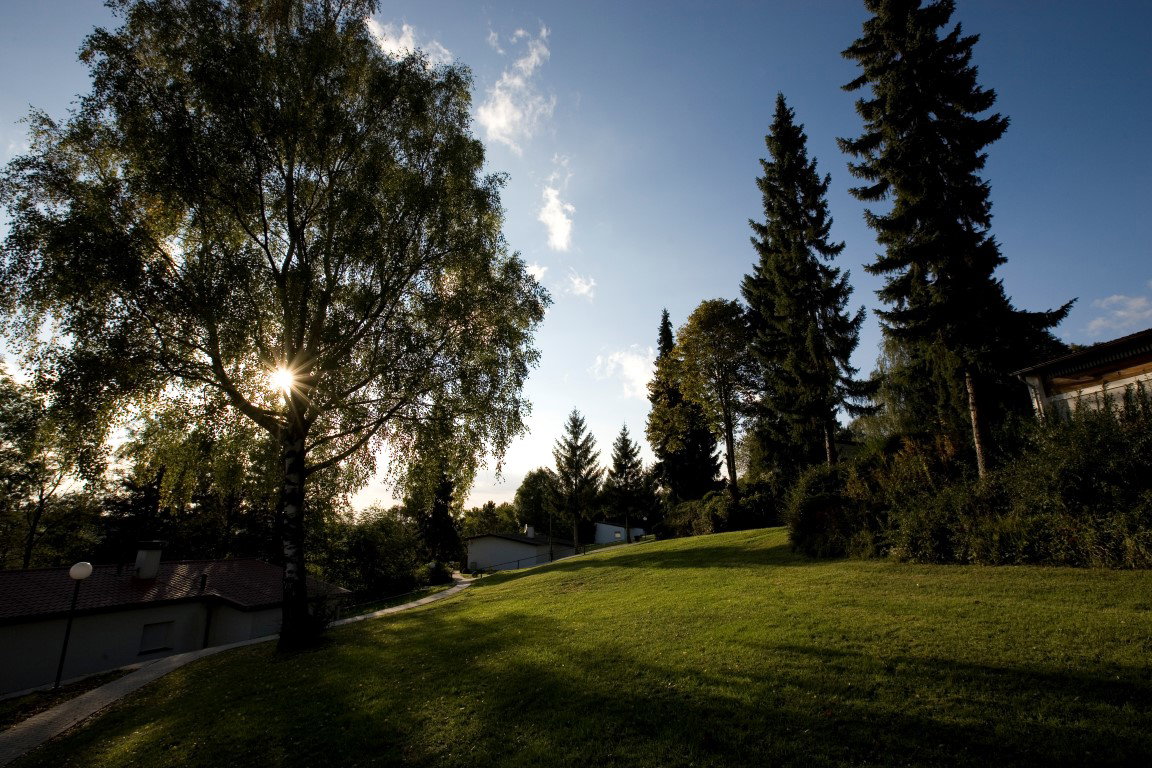 - image: 16