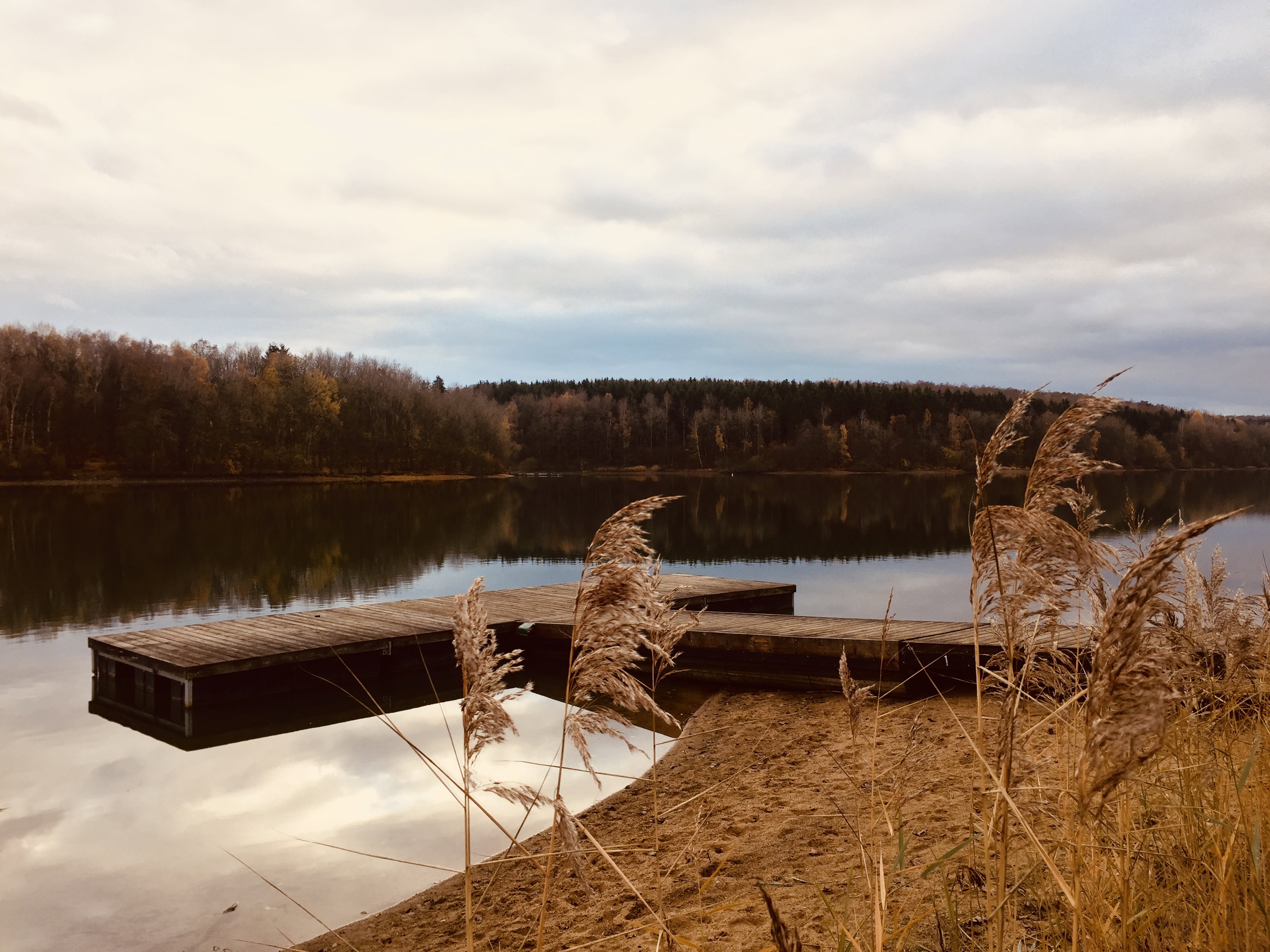 - image: 23