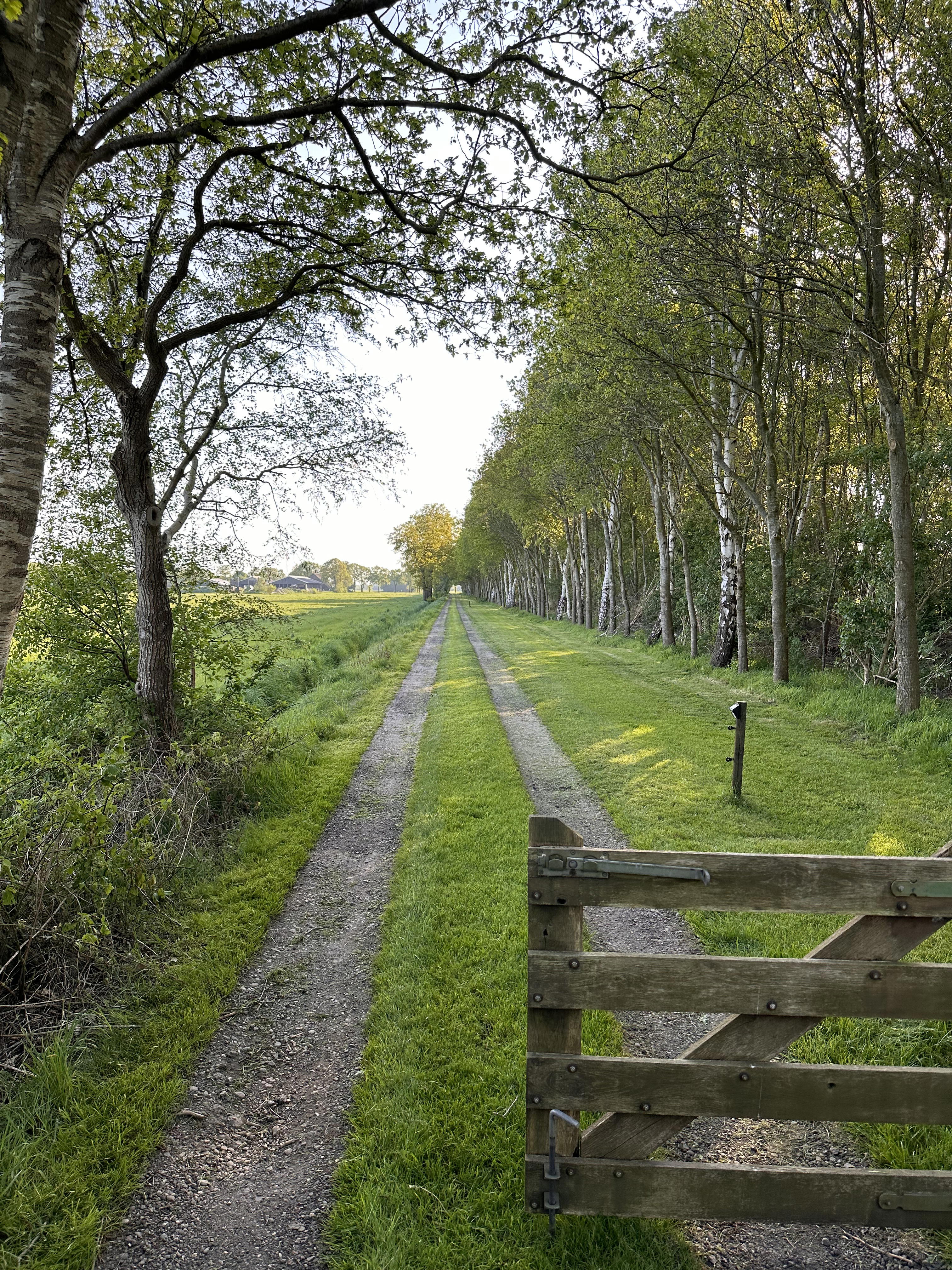Natuurhuisje in Koekange