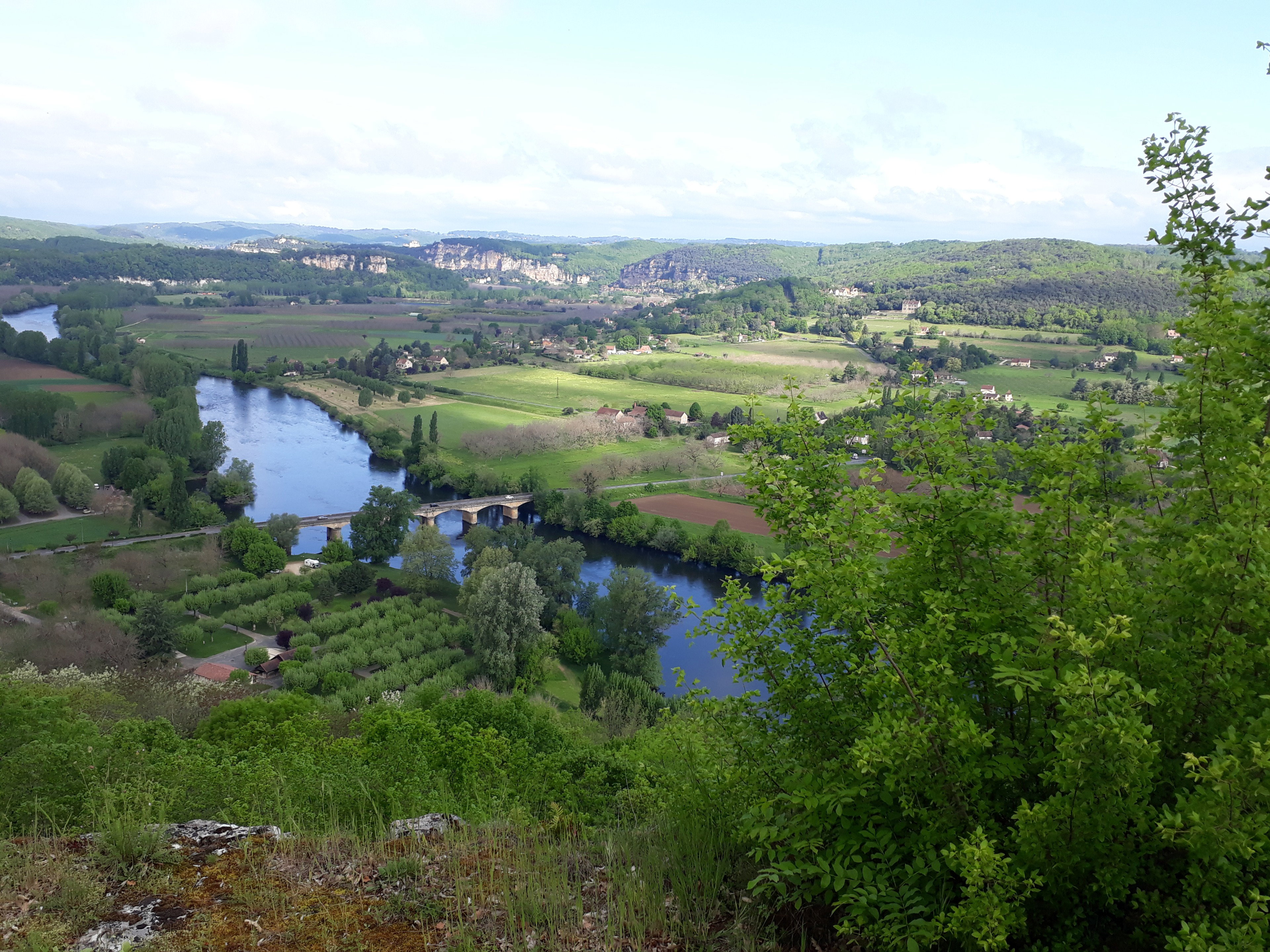 - image: 13