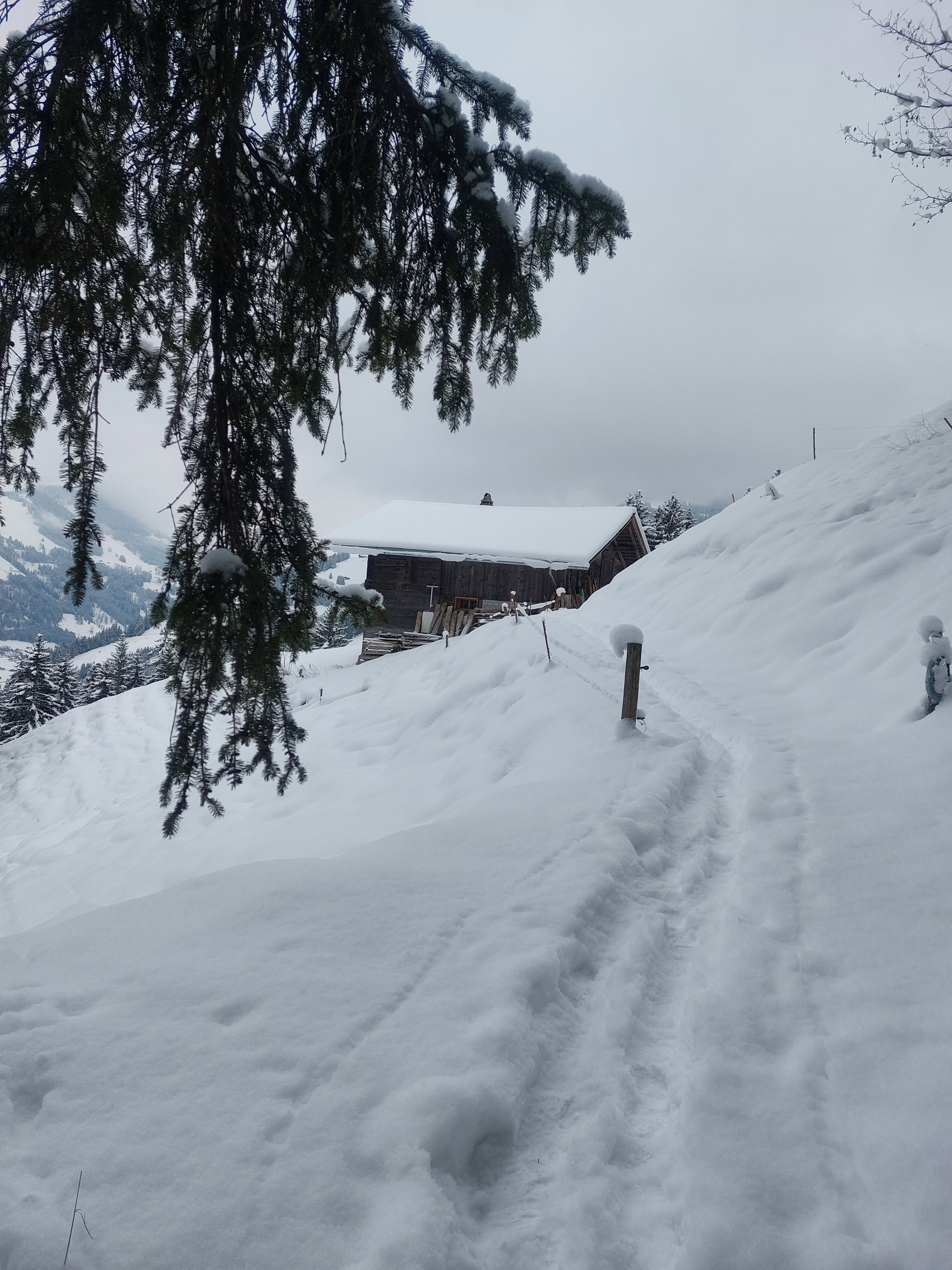 Natuurhuisje in St. Stephan