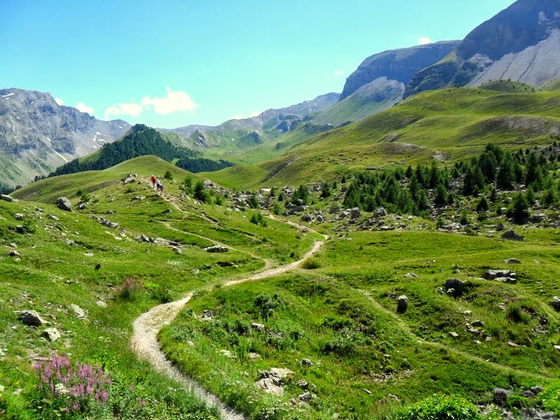 - image: 25
