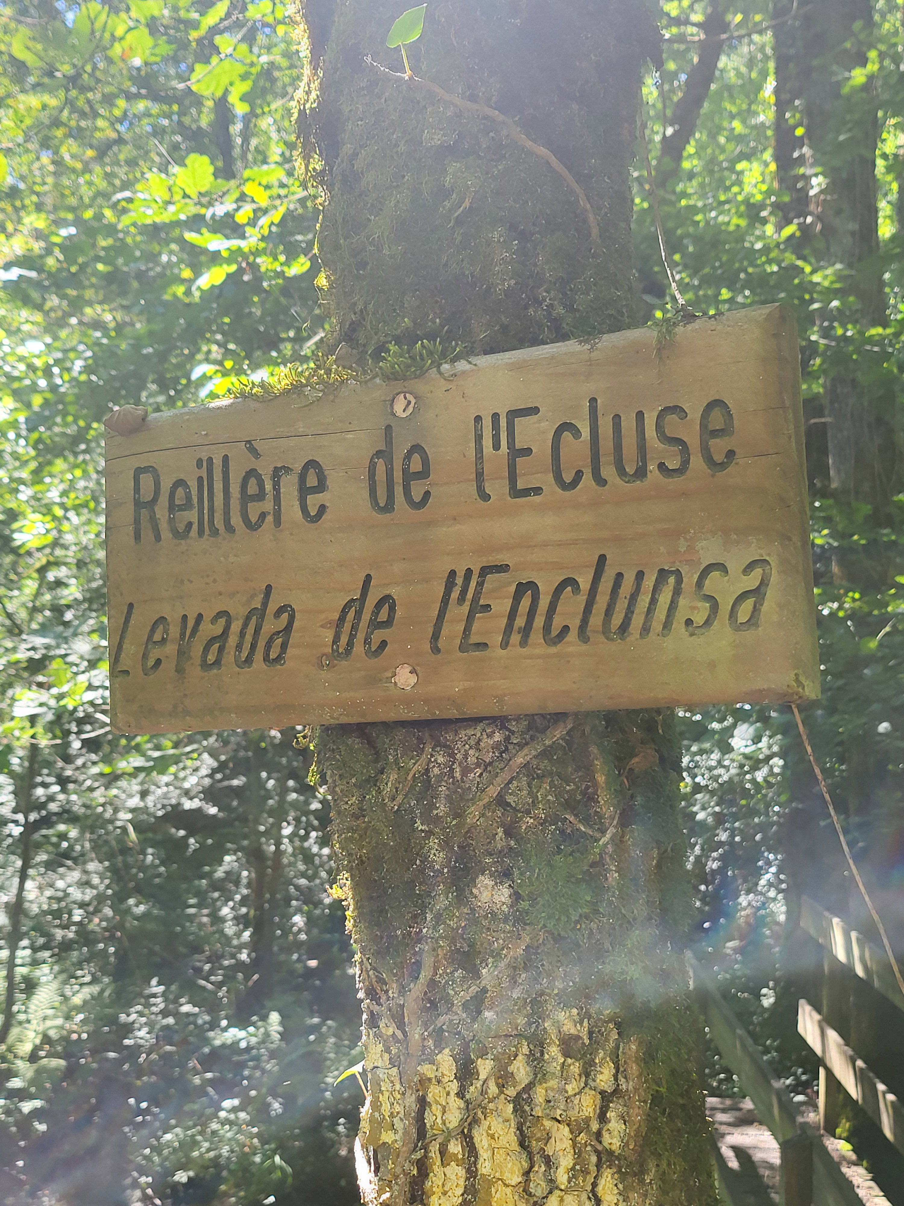 - image: 19