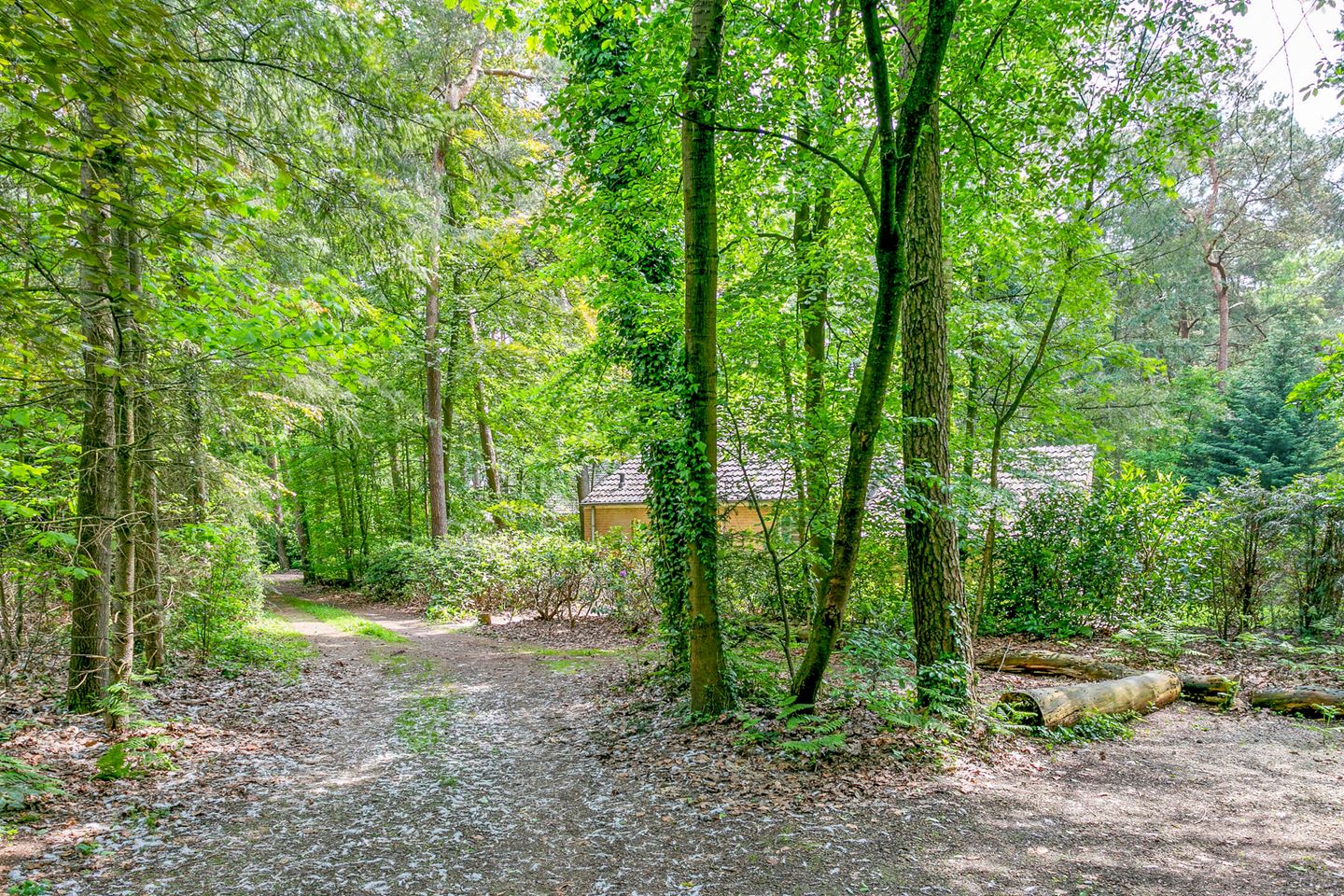 Casa nella natura a Zelhem