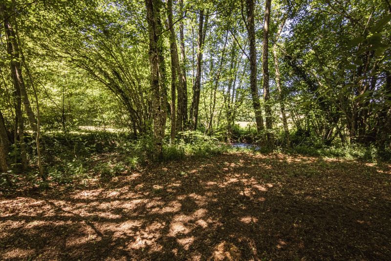 Natuurhuisje in Chateau-Chervix