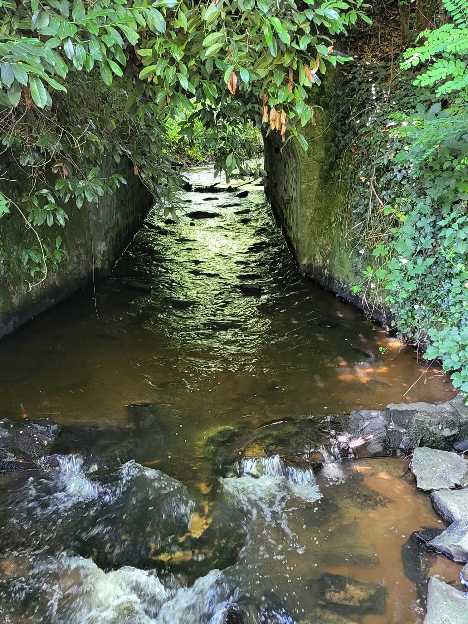 Natuurhuisje in Chateau-Chervix