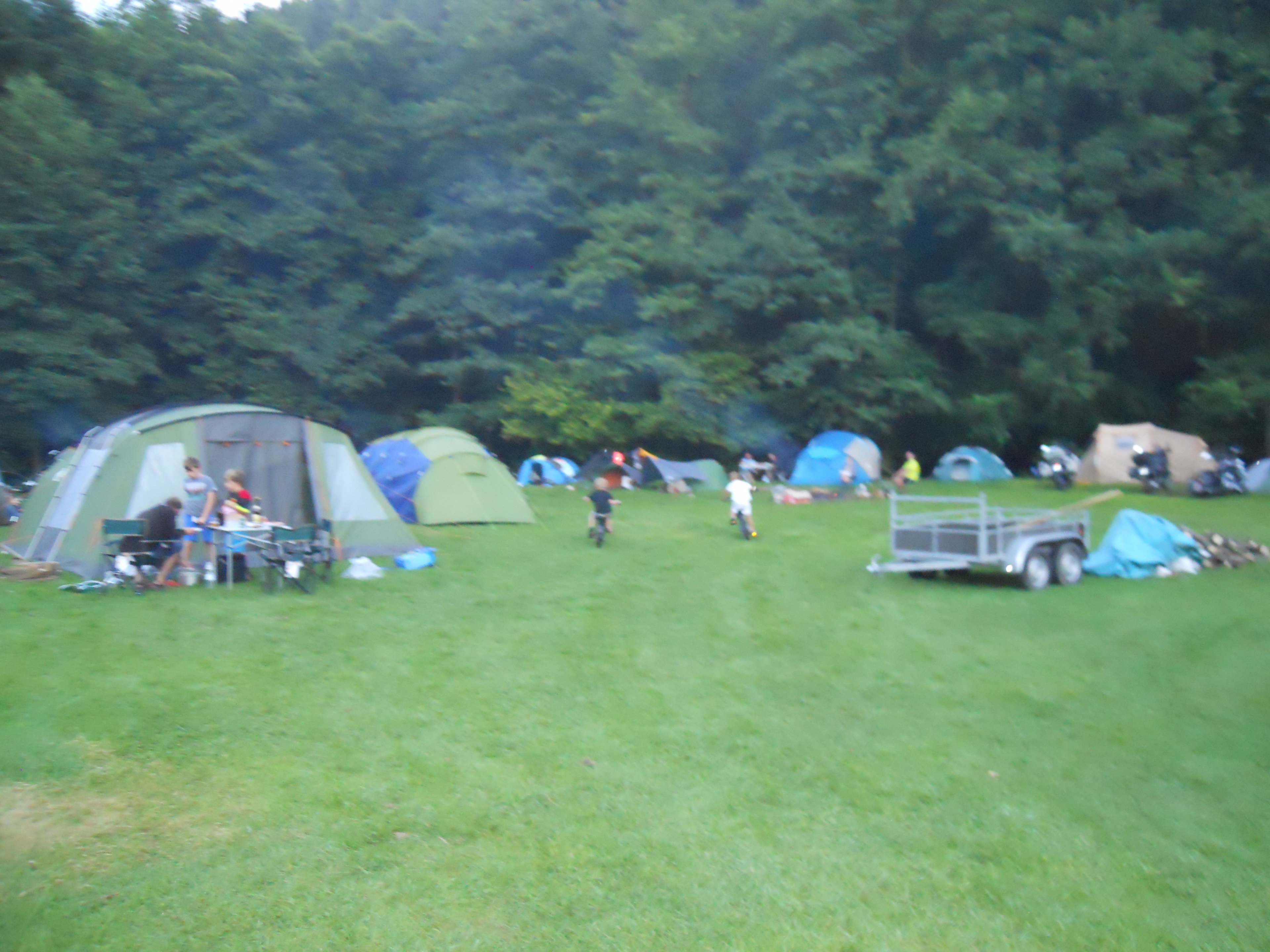 - image: 11