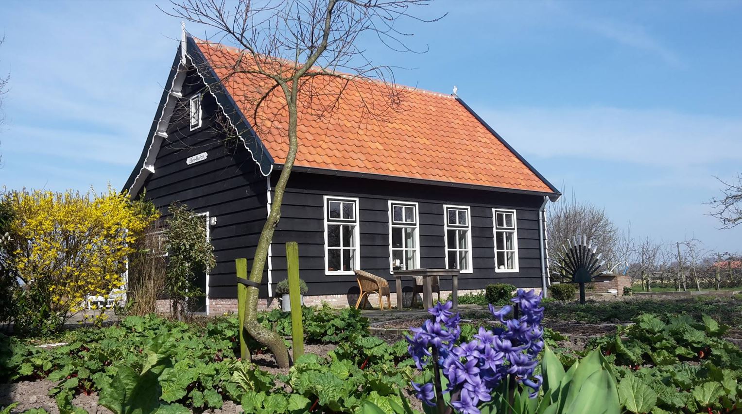Casa nella natura a Vrouwenpolder