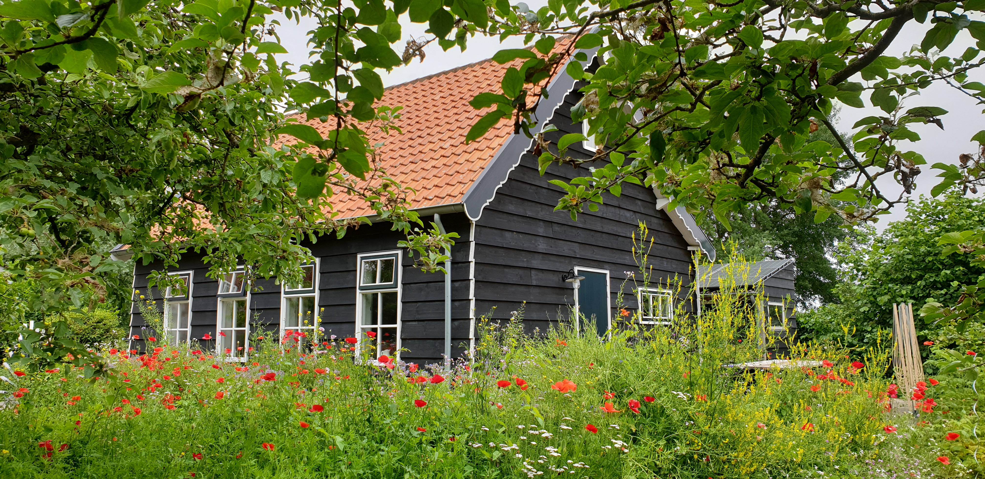 Naturhäuschen in Vrouwenpolder