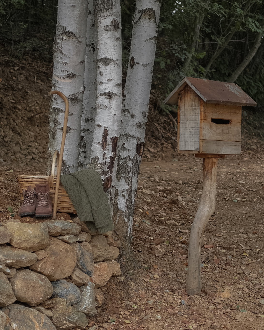 Casa nella natura a Murialdo