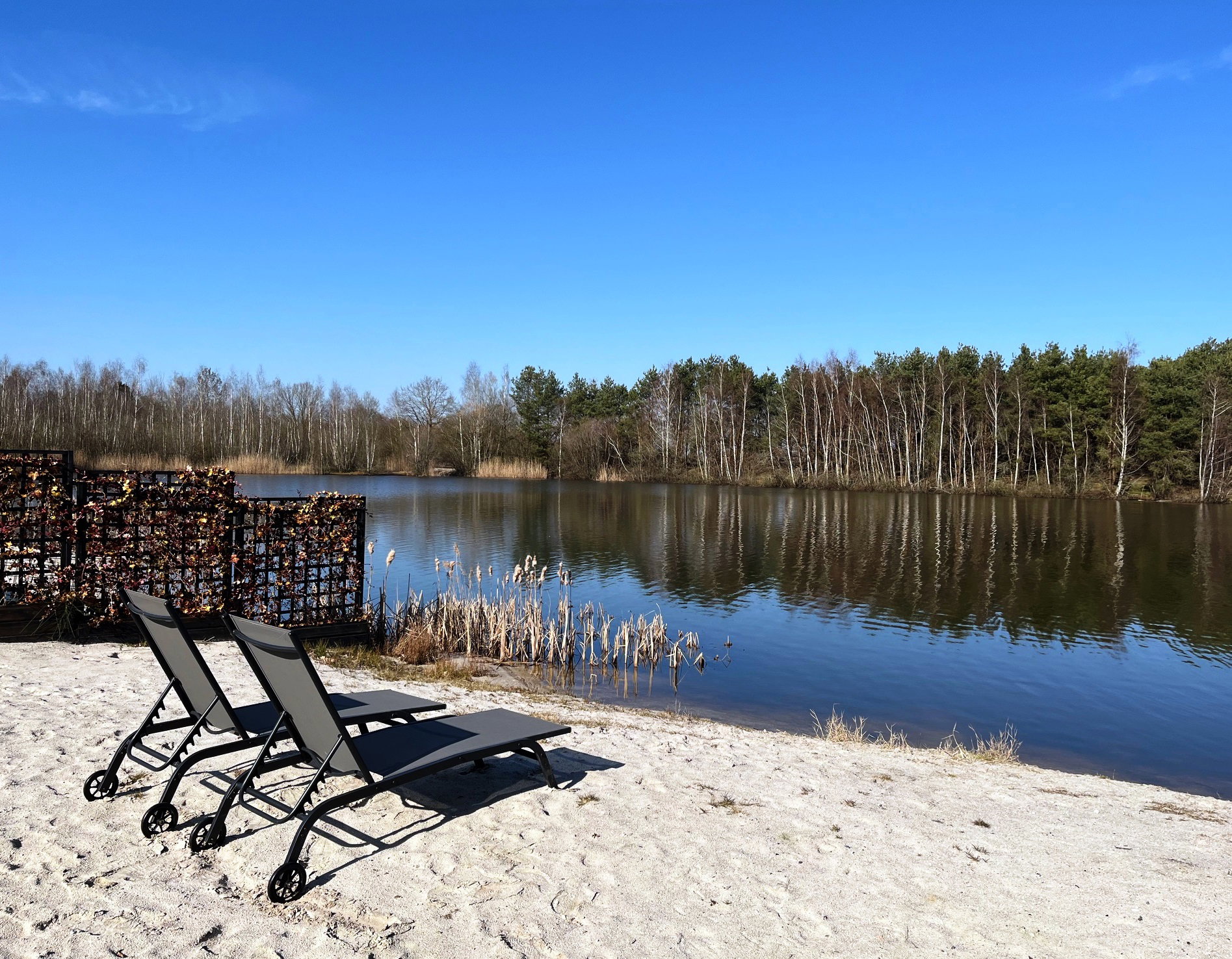 Casa nella natura a Westerhaar-Vriezenveensewijk