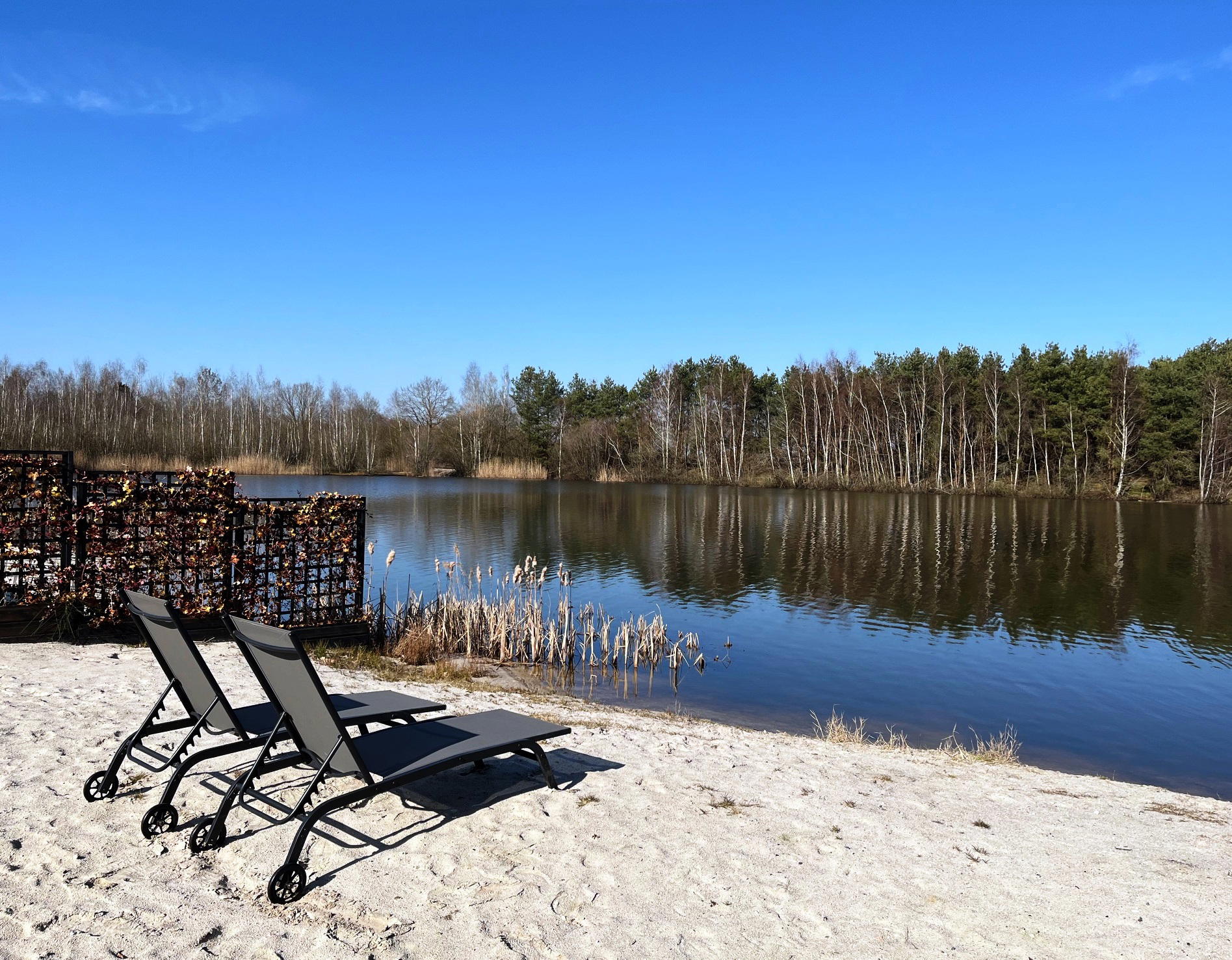 Nature house in Westerhaar-Vriezenveensewijk