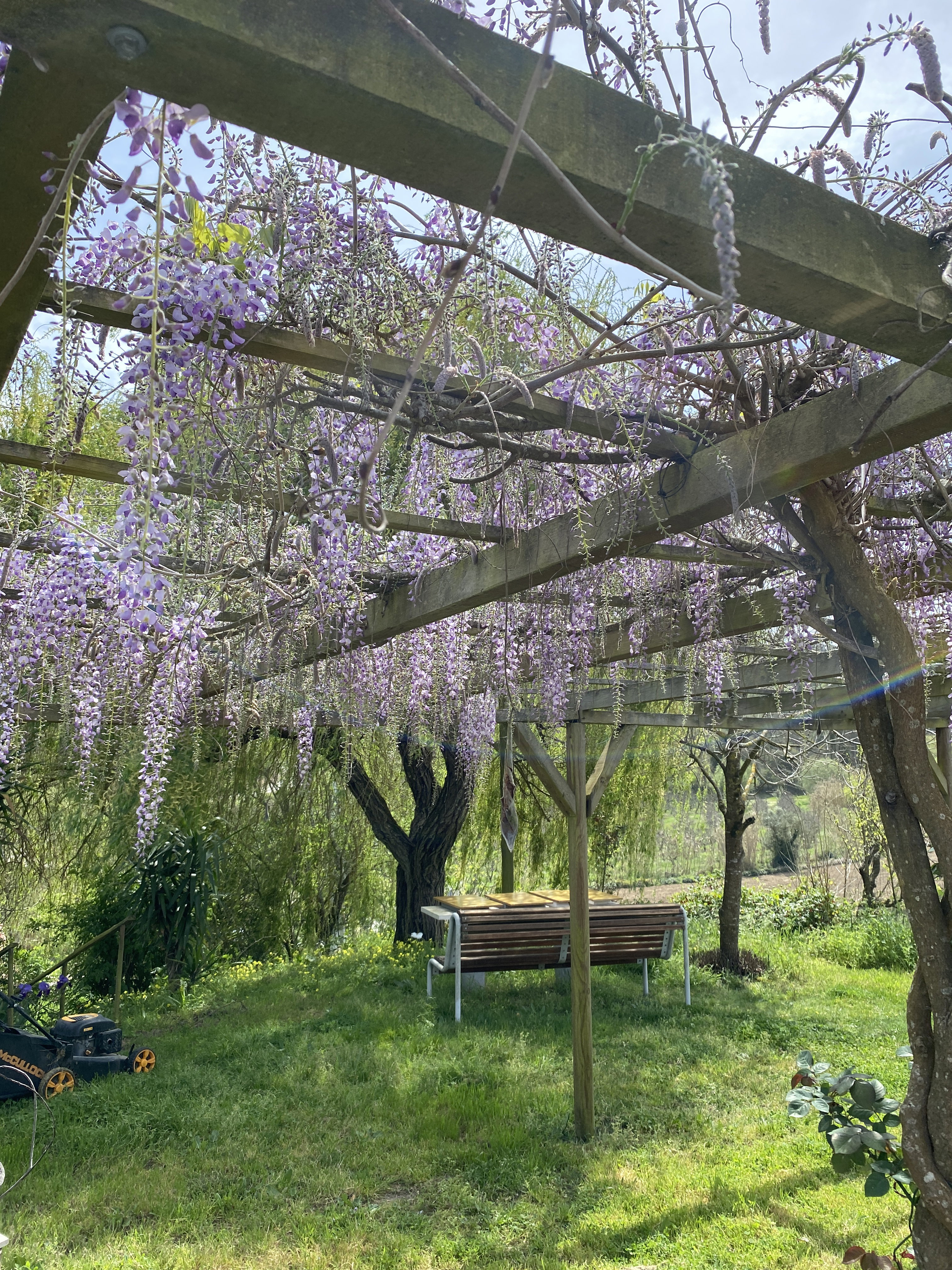 Maison nature à Junqueira - Alcobaça
