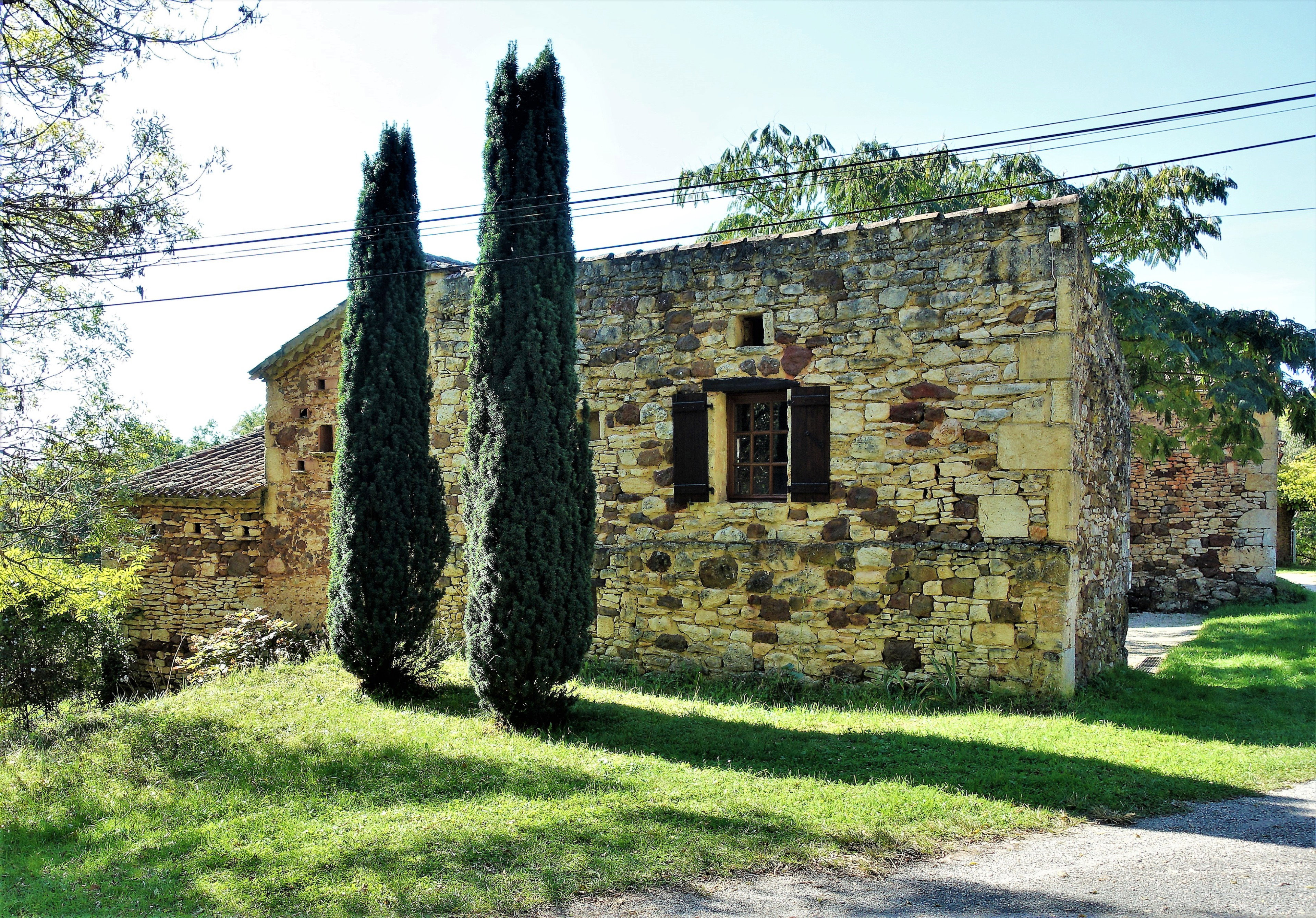 - image: 19
