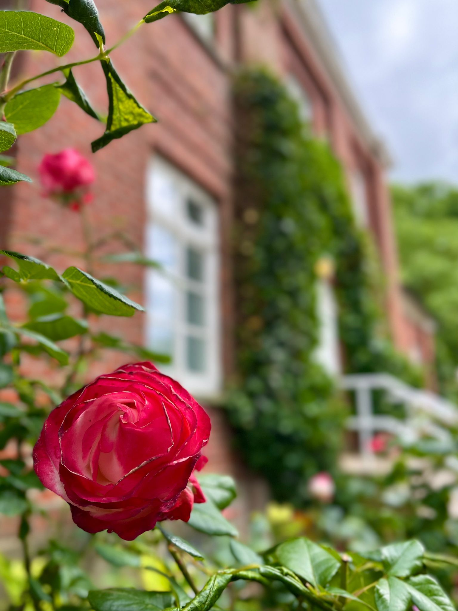 Nature house in Putbus