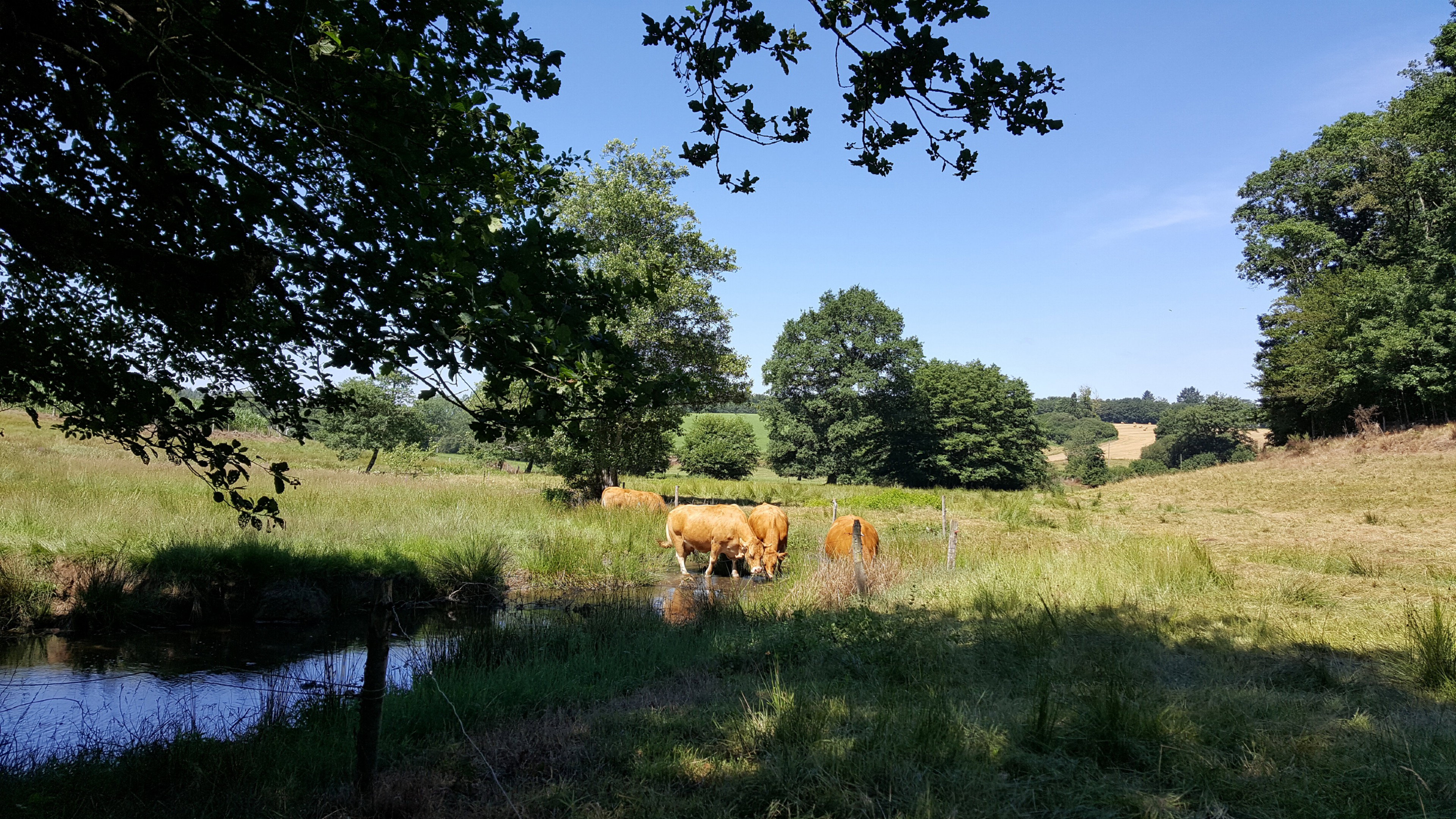 Maison nature à Saint Leonard de Noblat
