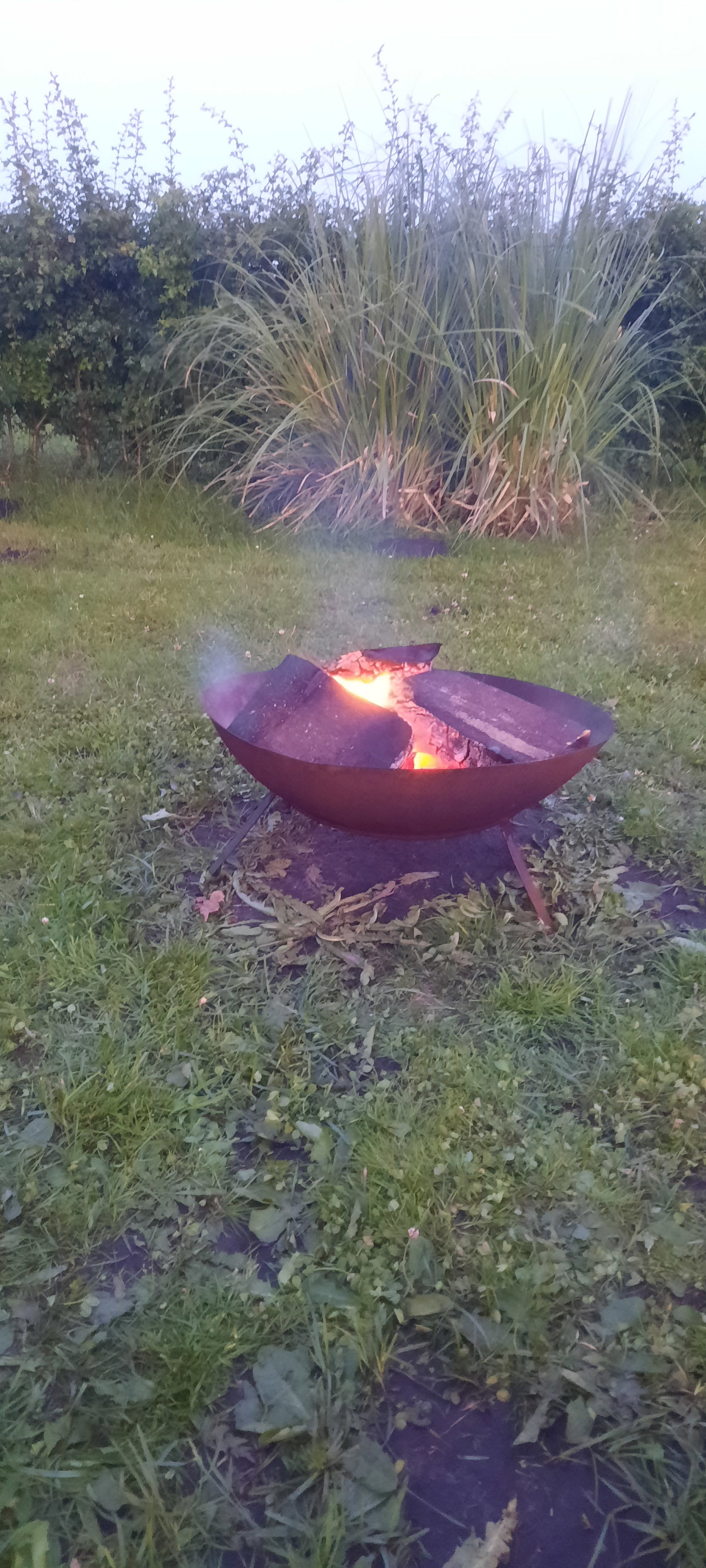 Natuurhuisje in Aalden