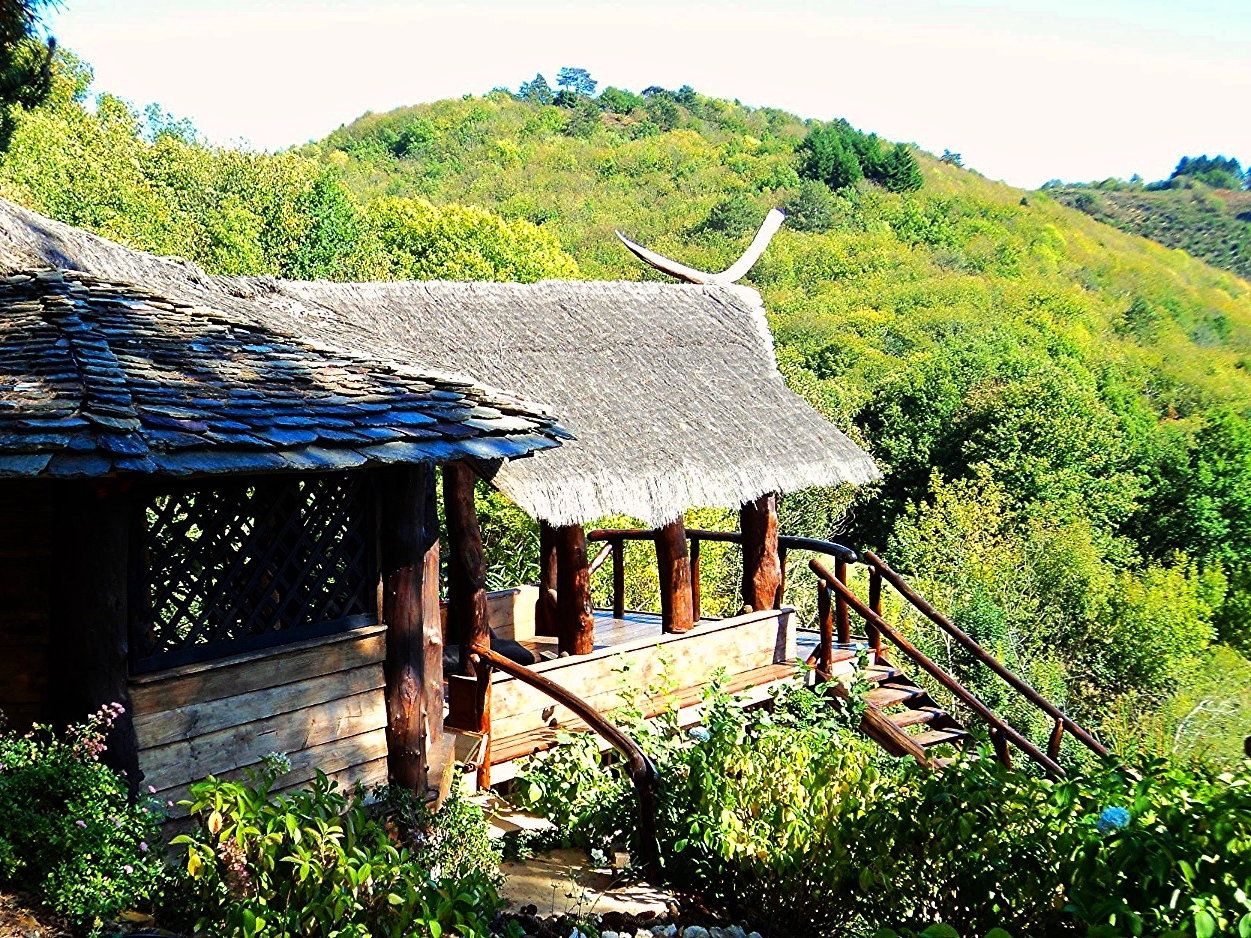 Natuurhuisje in Courniou
