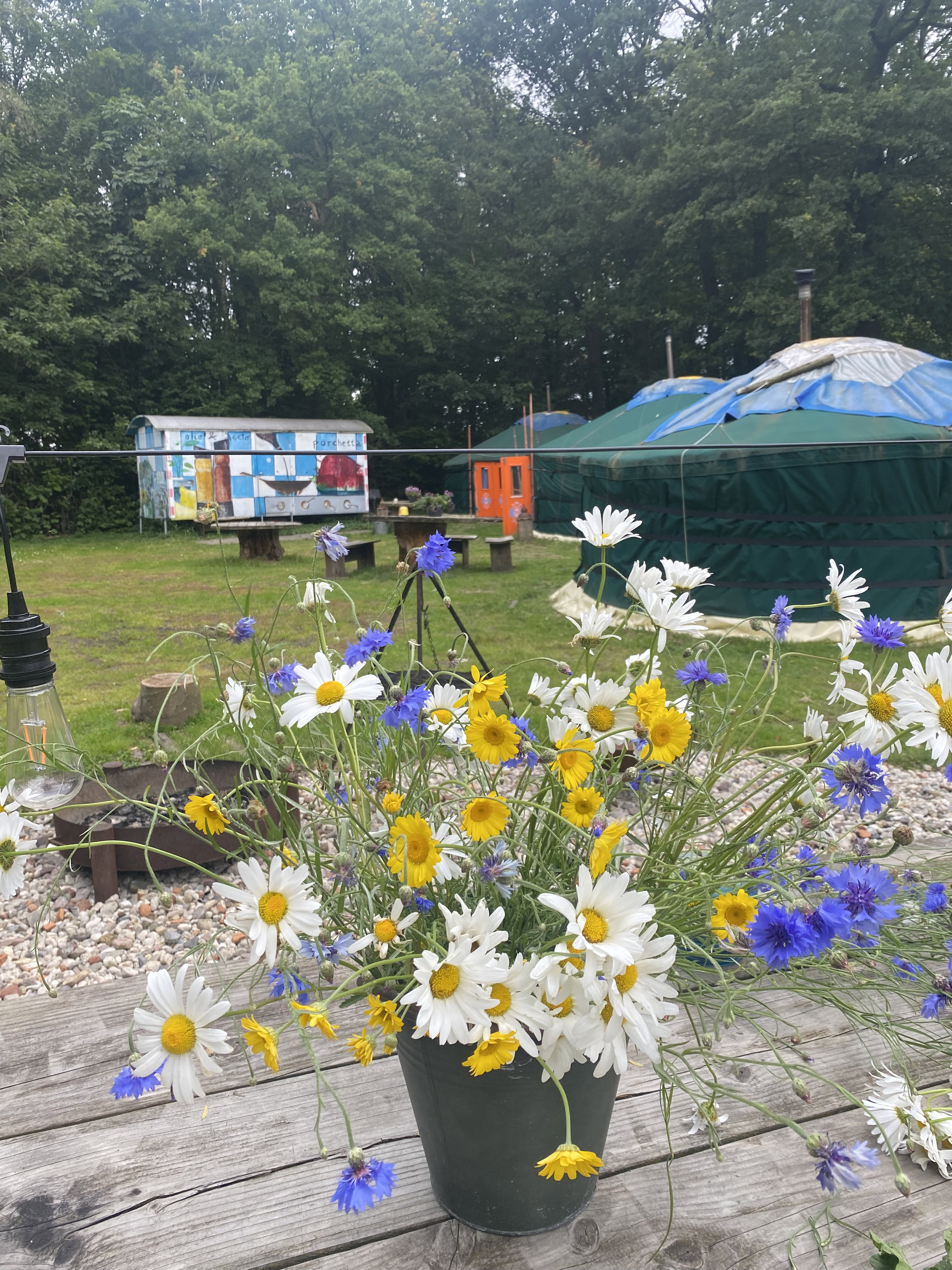 Nature house in Lunteren
