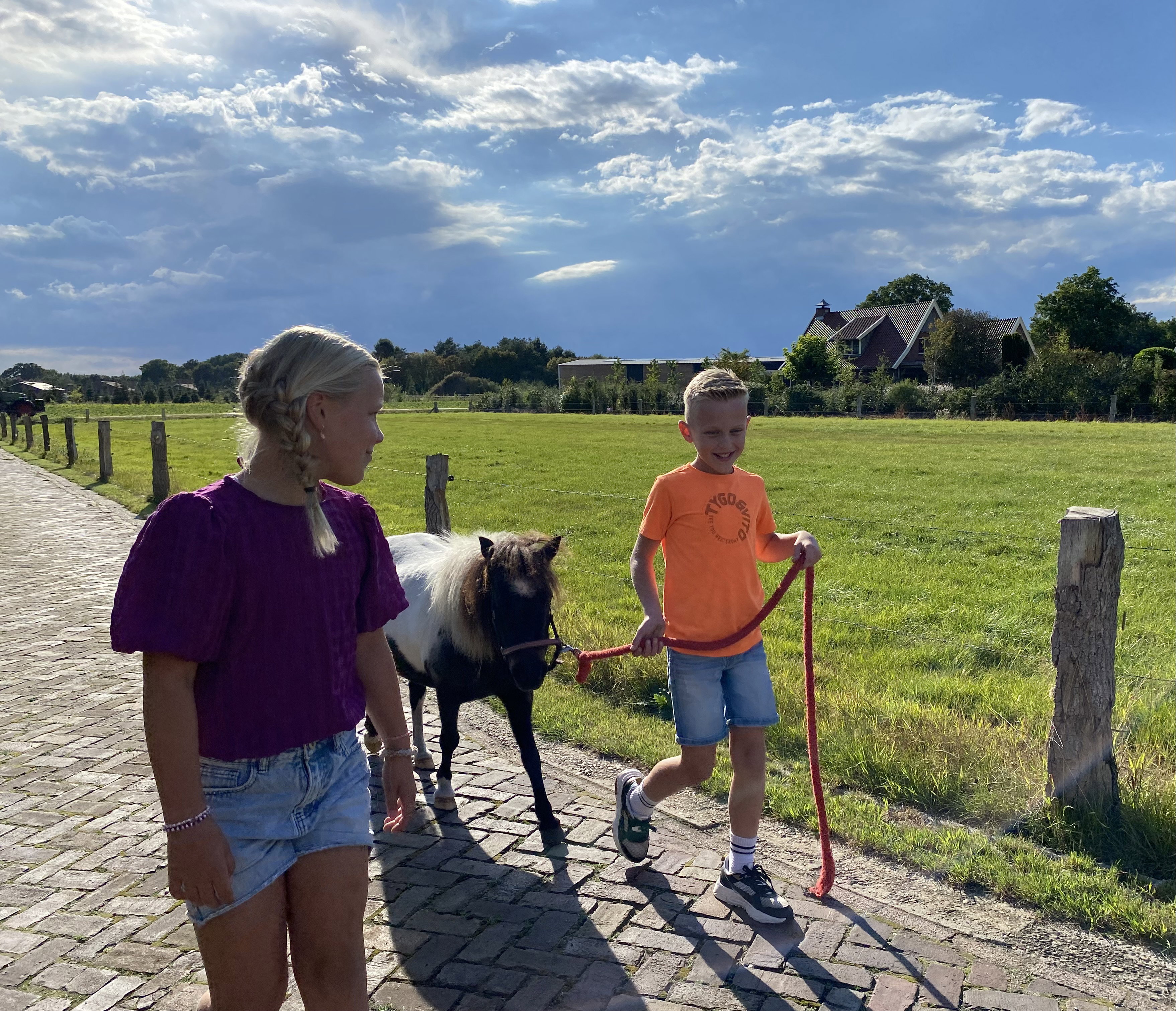 Natuurhuisje in Langeveen