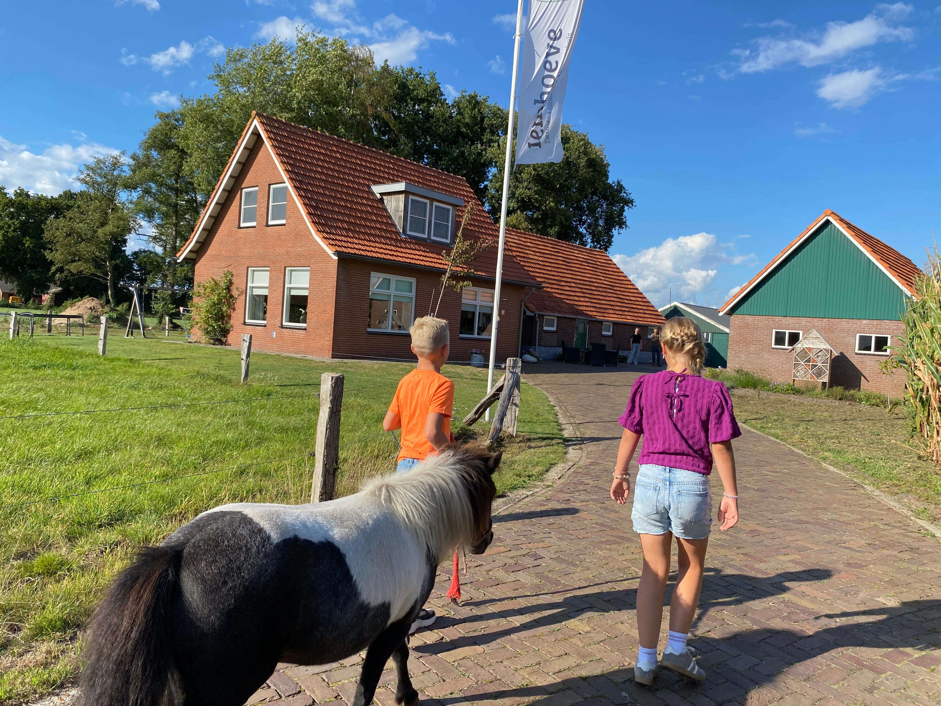 Nature house in Langeveen