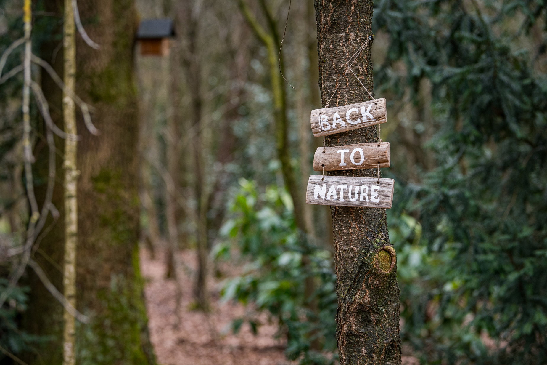 Casa nella natura a Stroe