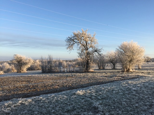 Naturhäuschen in SIERSTHAL