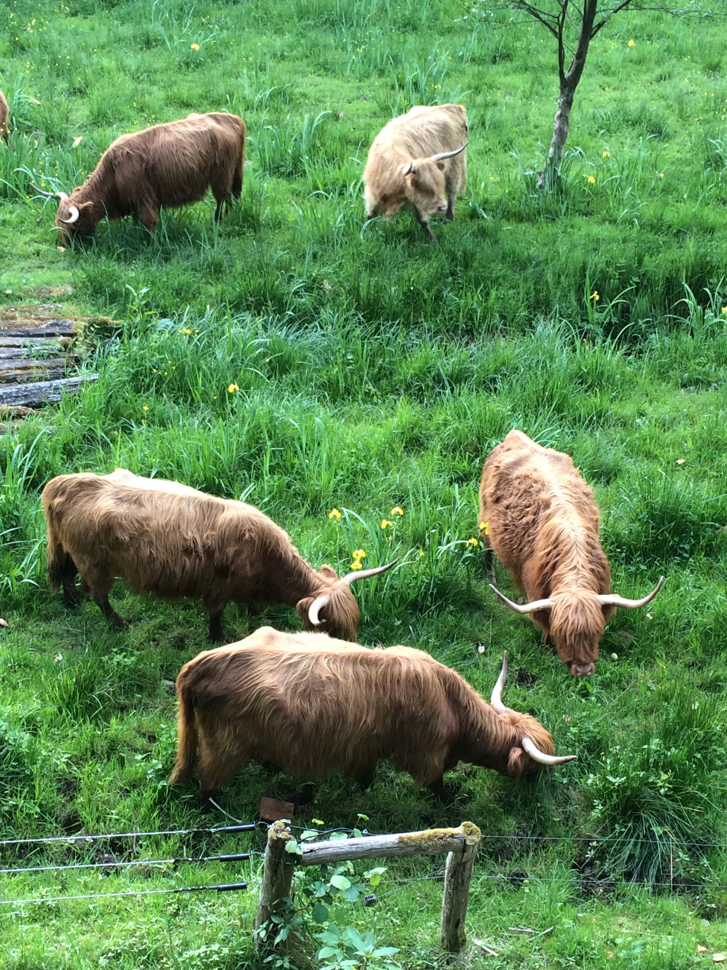 Naturhäuschen in SIERSTHAL