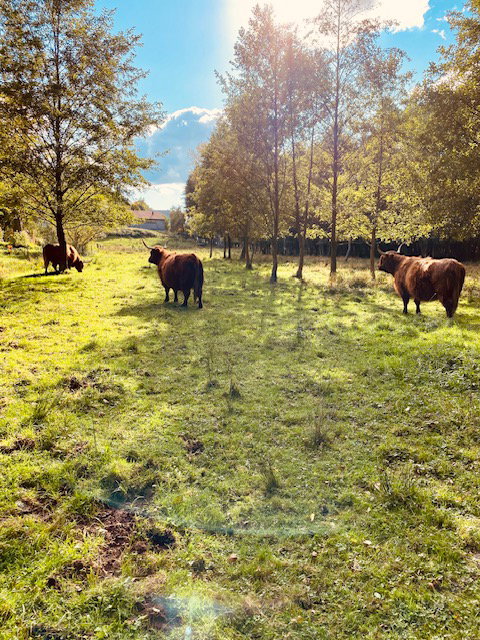 Naturhäuschen in SIERSTHAL