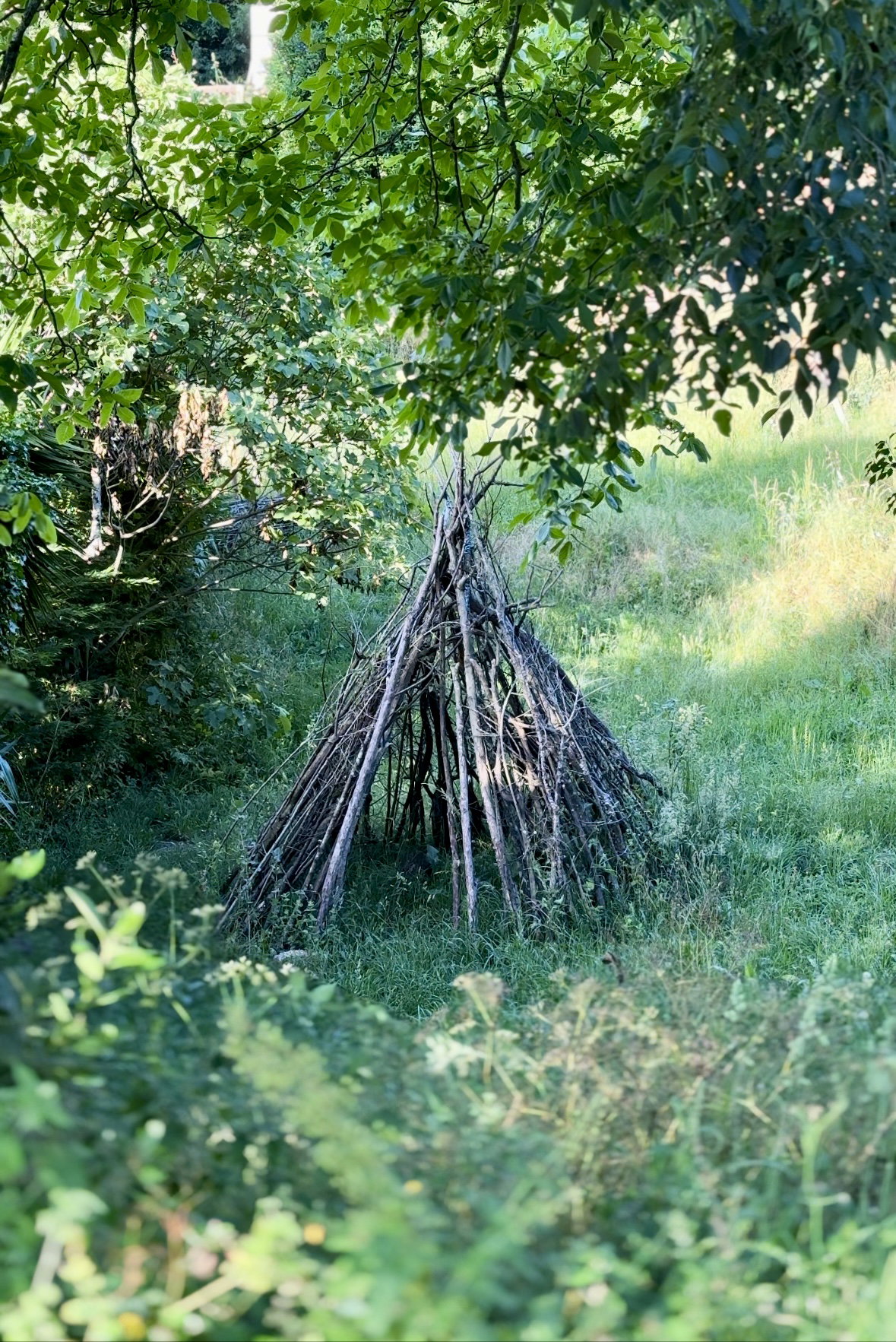 - image: 16