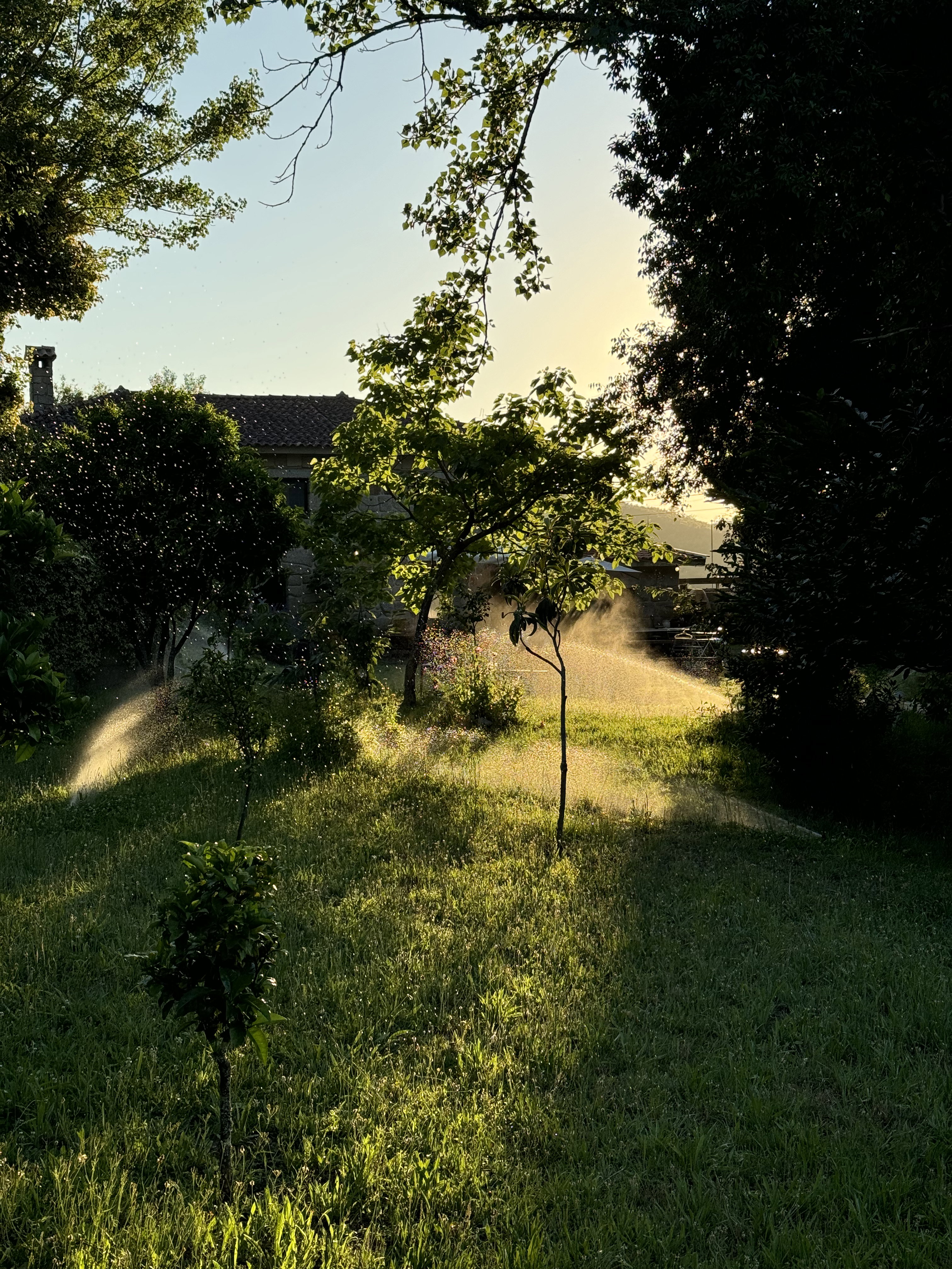 - image: 22