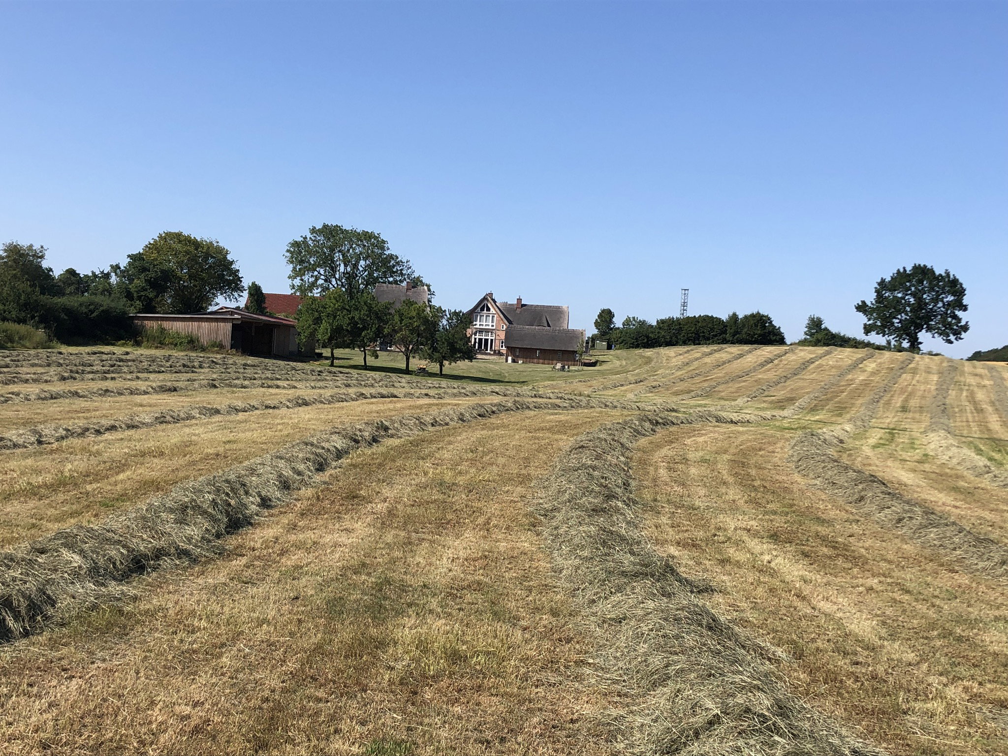 Naturhäuschen in Römnitz