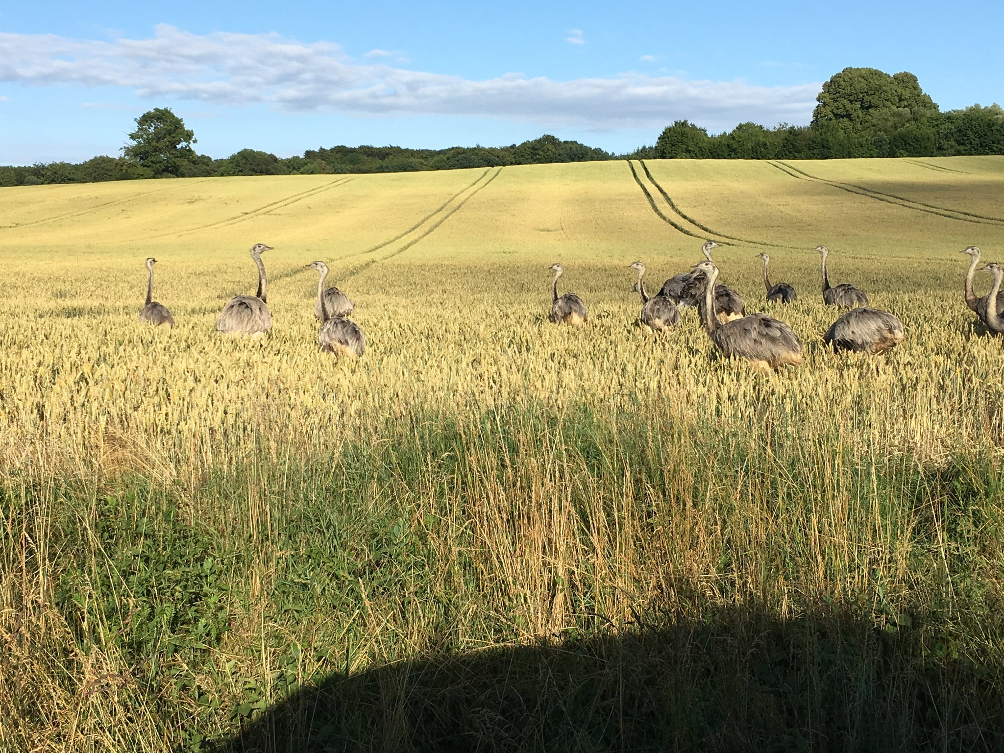Naturhäuschen in Römnitz