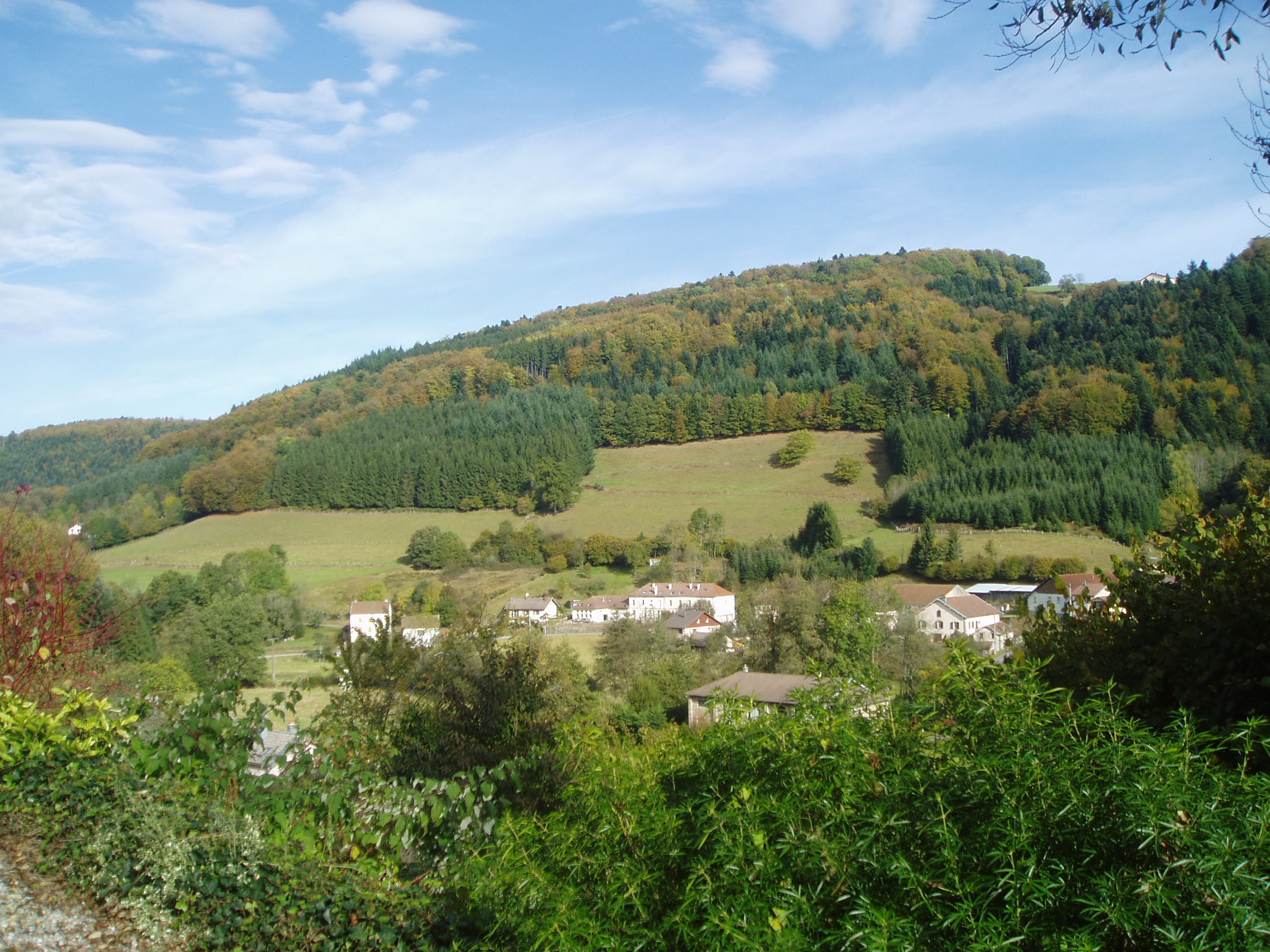 - image: 12