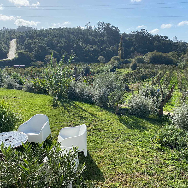 Casa nella natura a Junqueira - Alcobaça