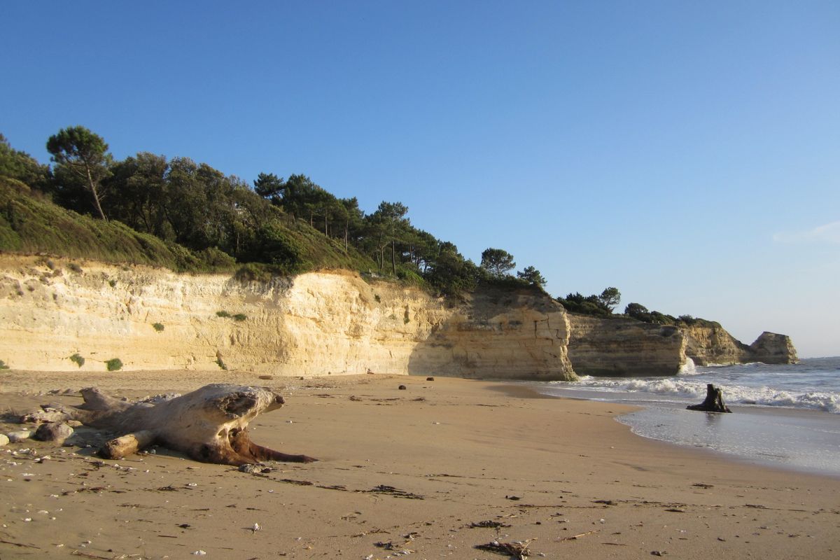 Casa nella natura a Chenac saint Seurin dÚzet