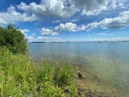 - image: 21