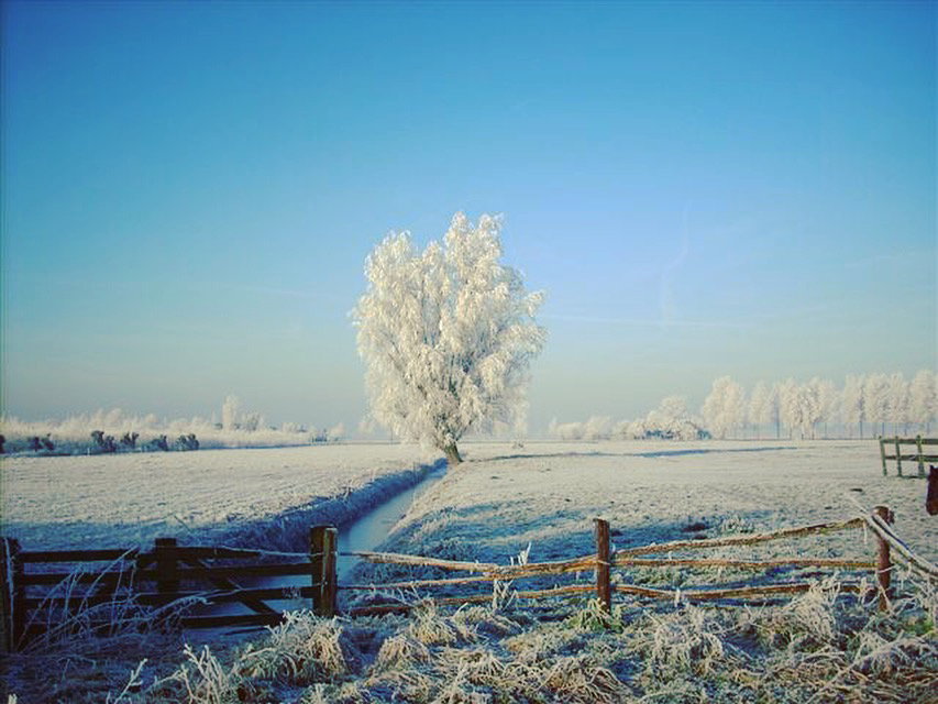 - image: 15