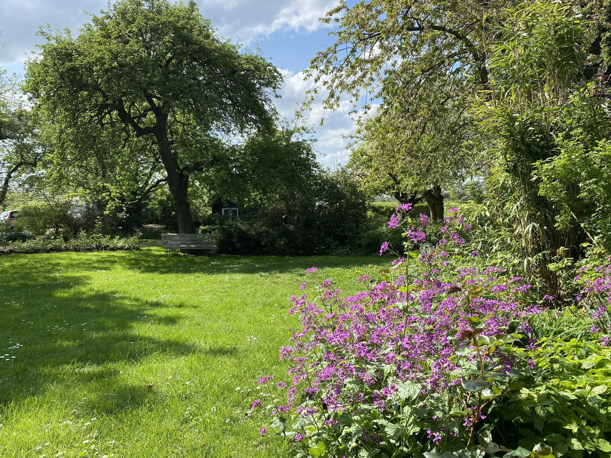 Natuurhuisje in Kedichem
