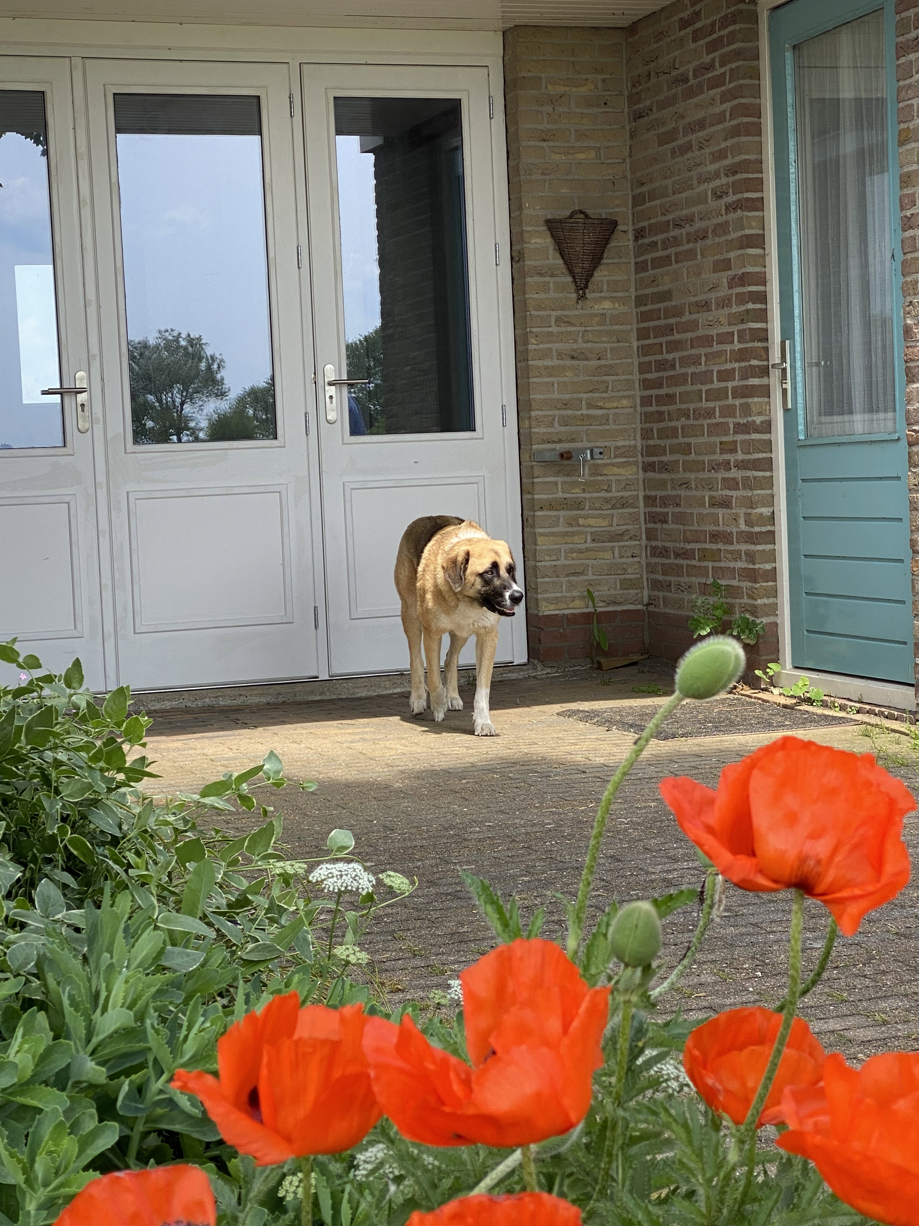 Nature house in Gaastmeer