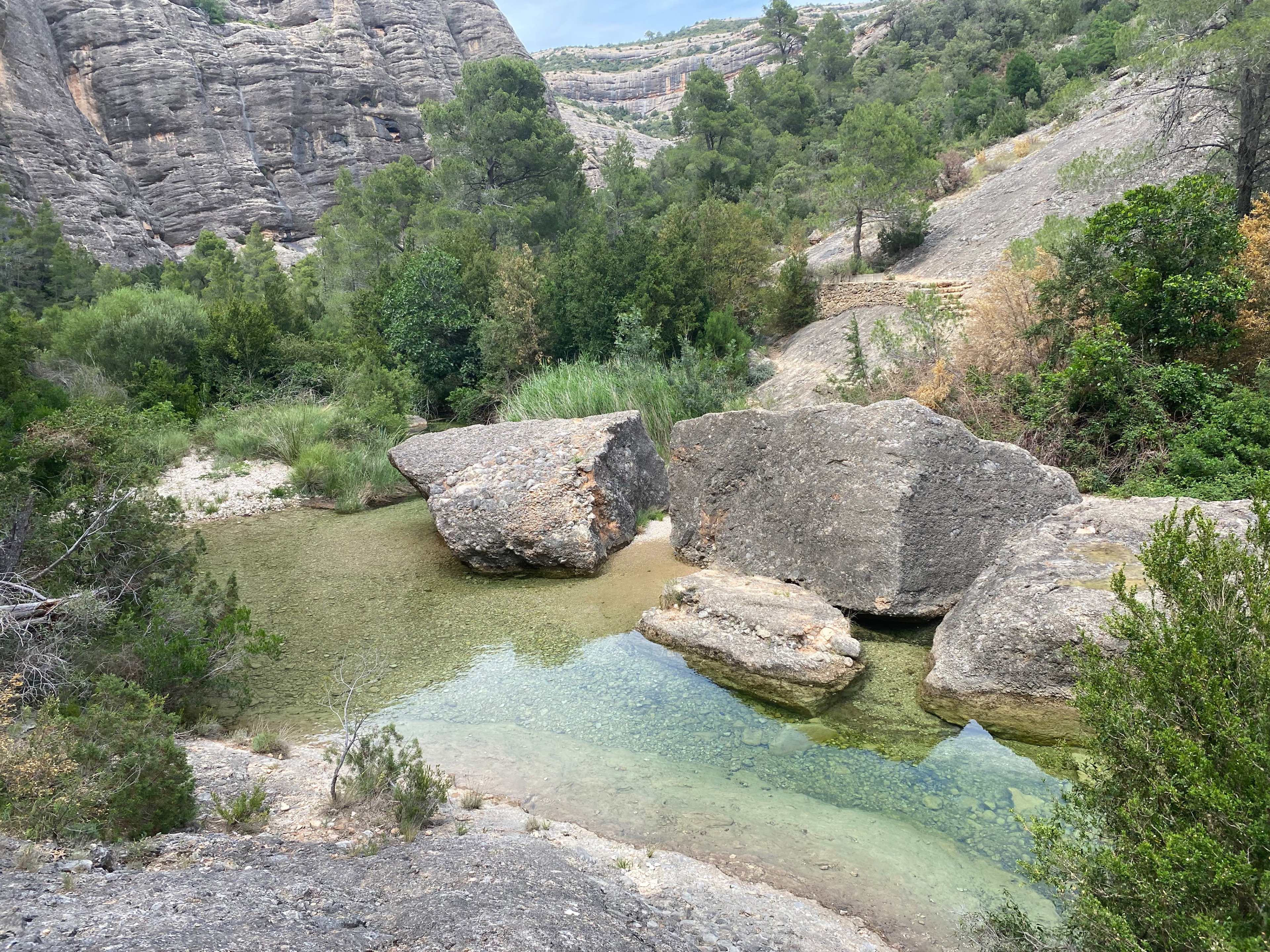 - image: 14