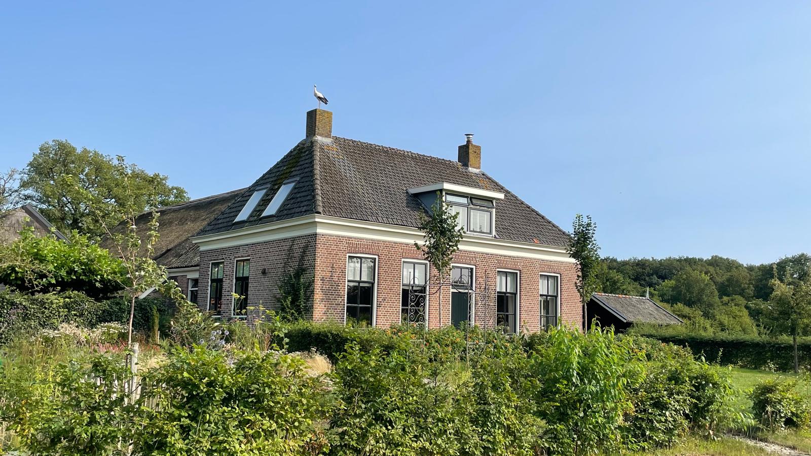 - image: 25