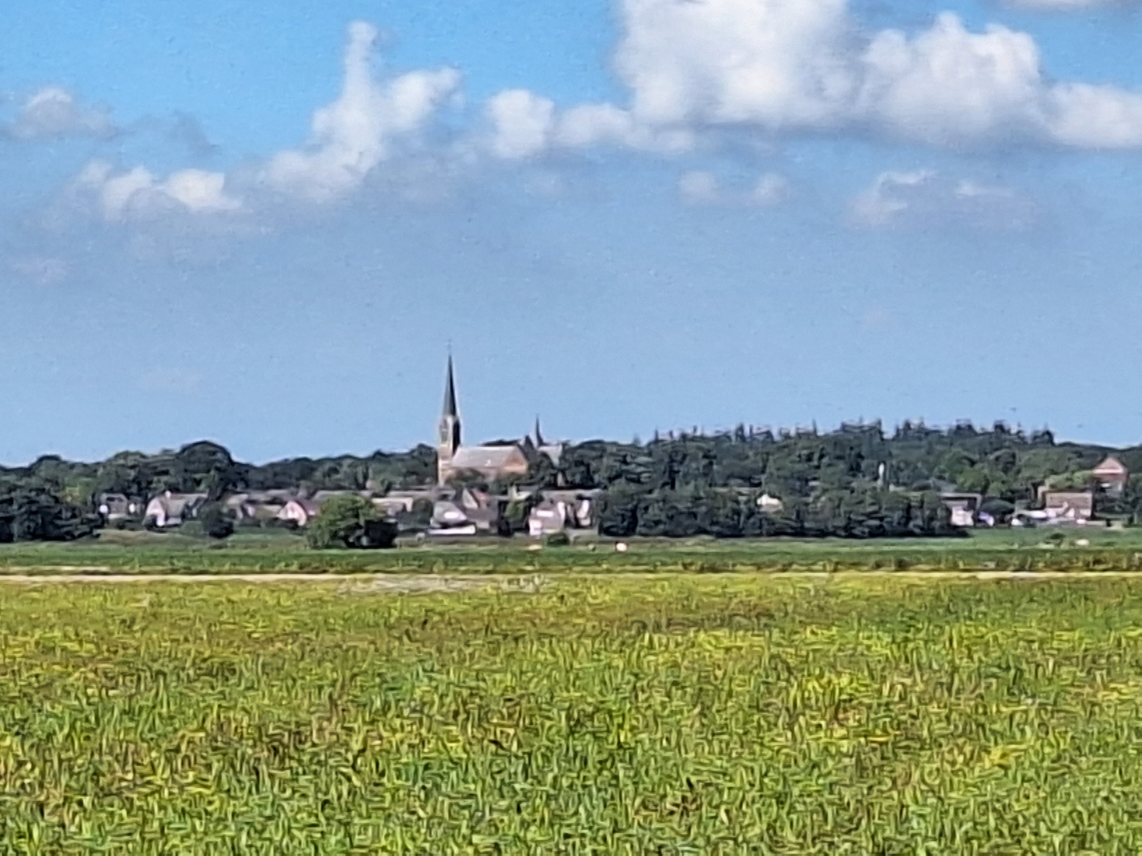 - image: 13