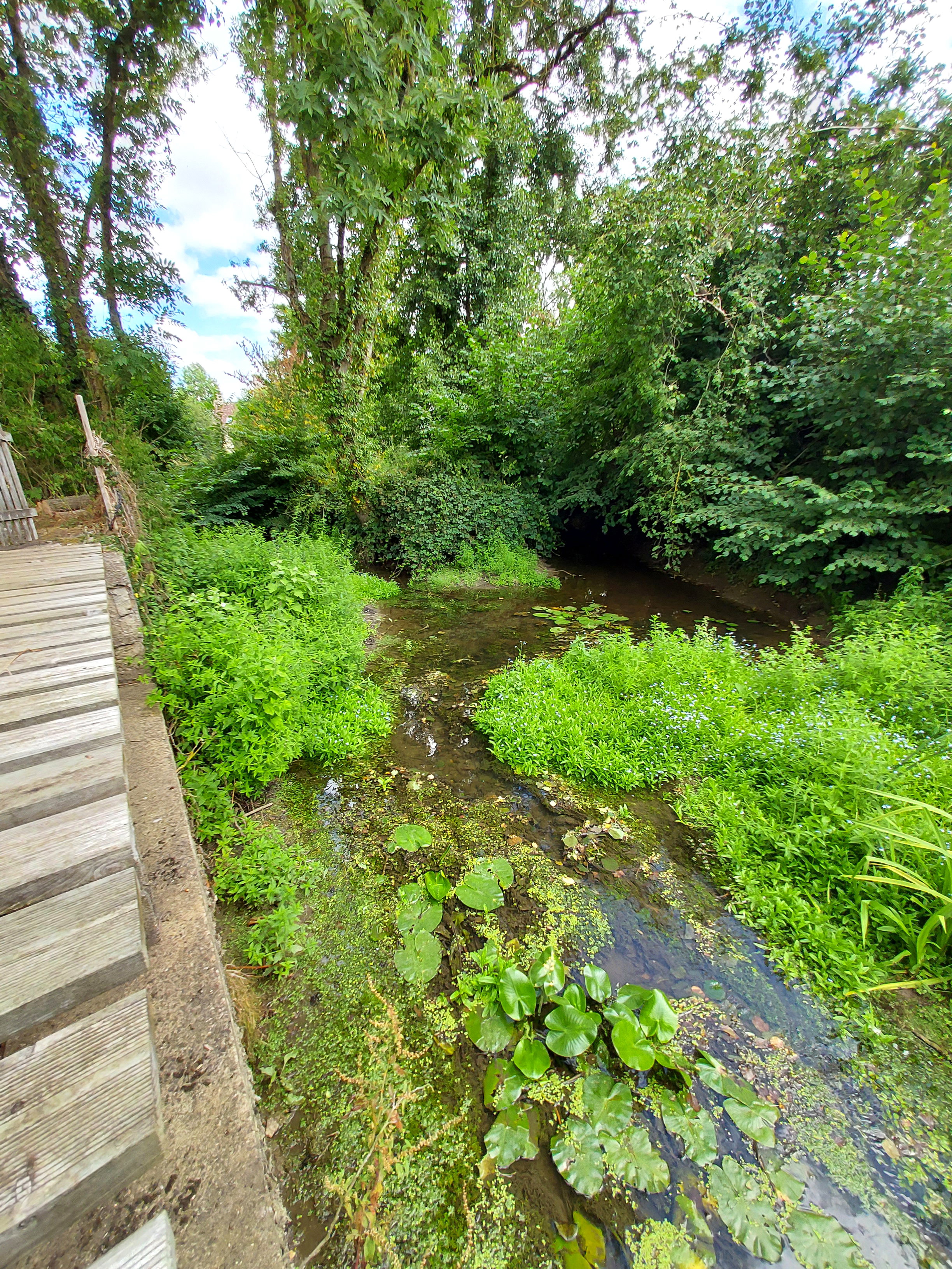 Casa nella natura a Bleves