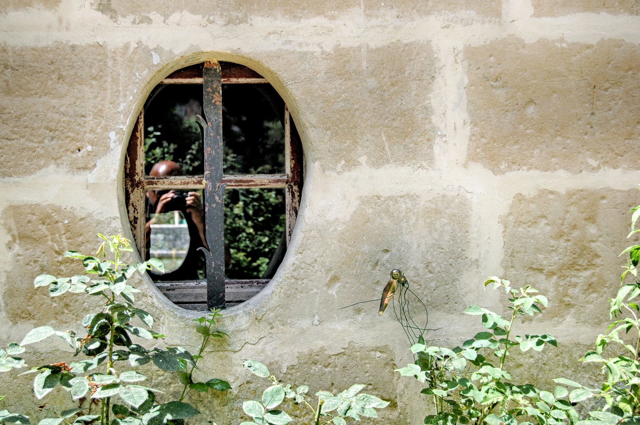 - image: 19