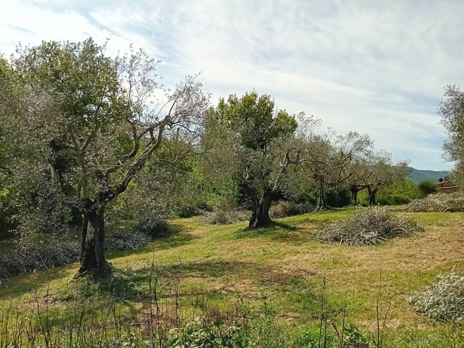 Casa nella natura a Umbertide